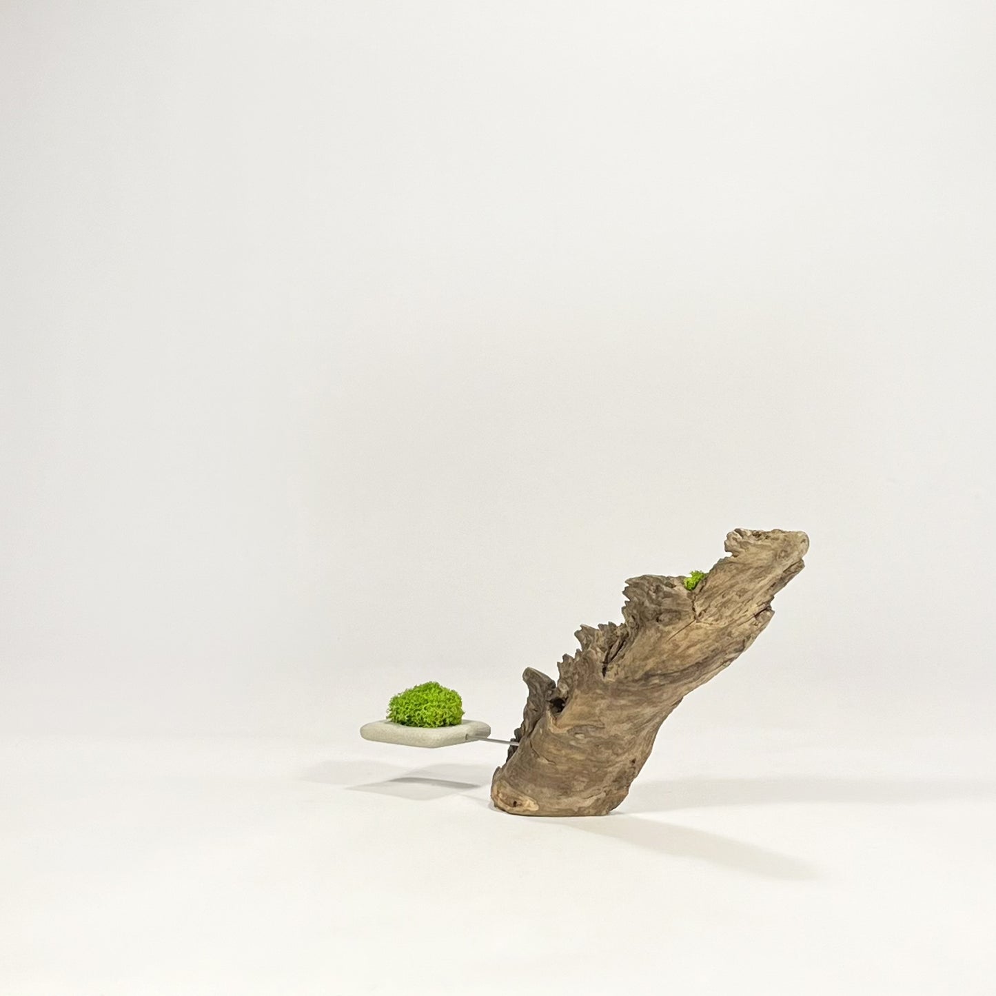 Disequilibrio in Equilibrio