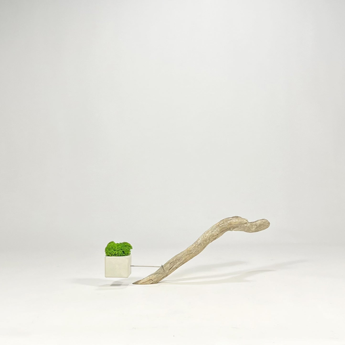 Disequilibrio in Equilibrio