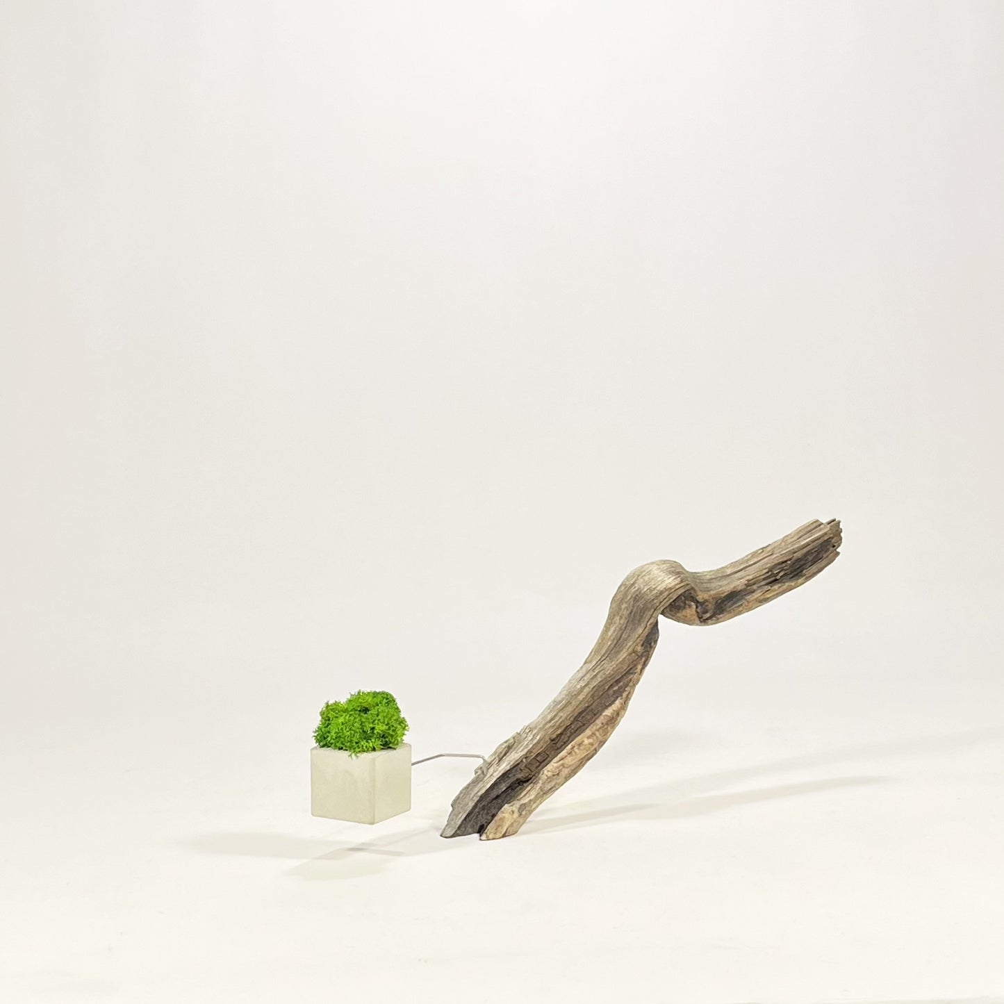 Disequilibrio in Equilibrio