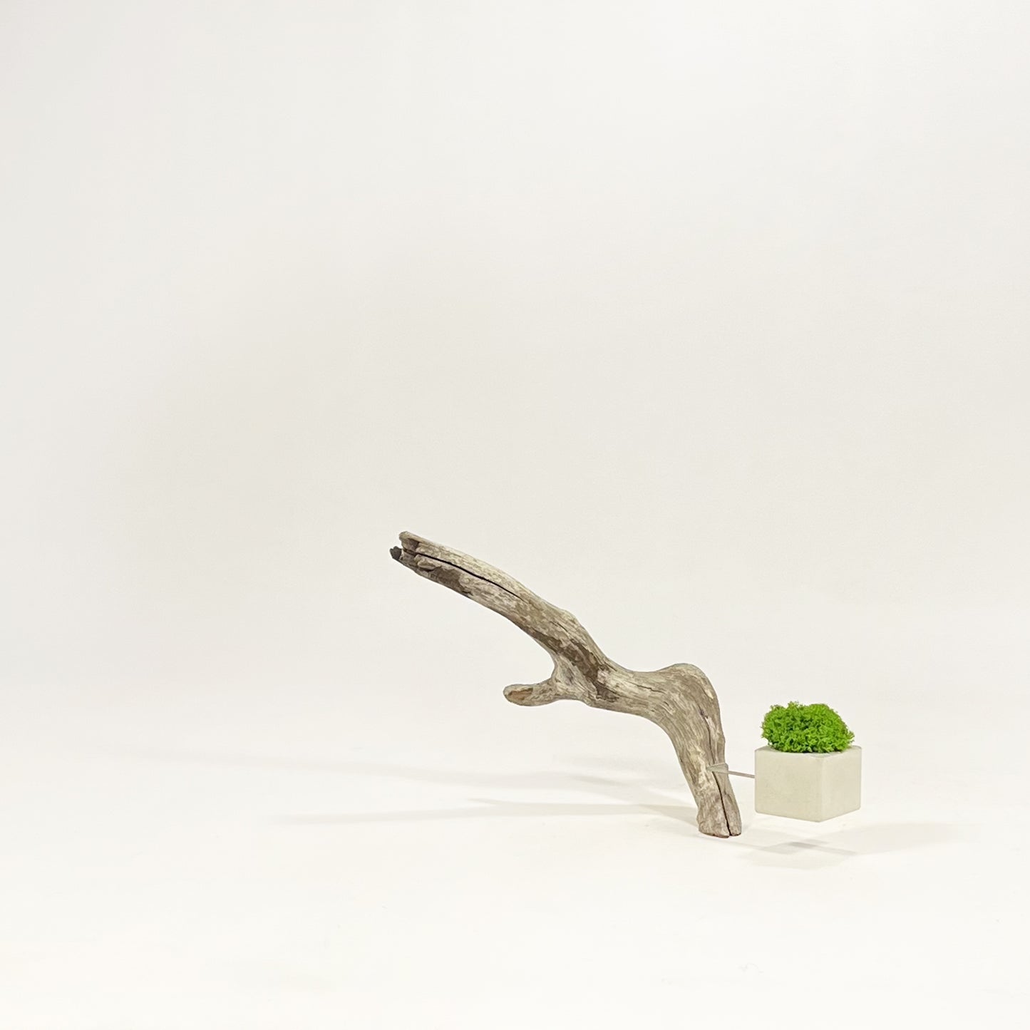 Disequilibrio in Equilibrio