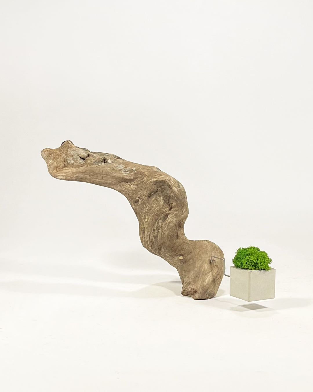 Disequilibrio in Equilibrio