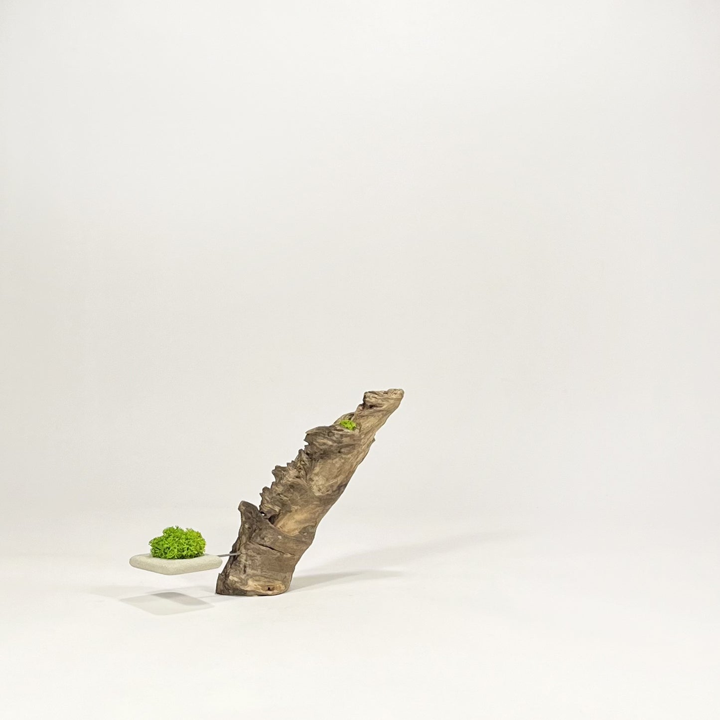 Disequilibrio in Equilibrio