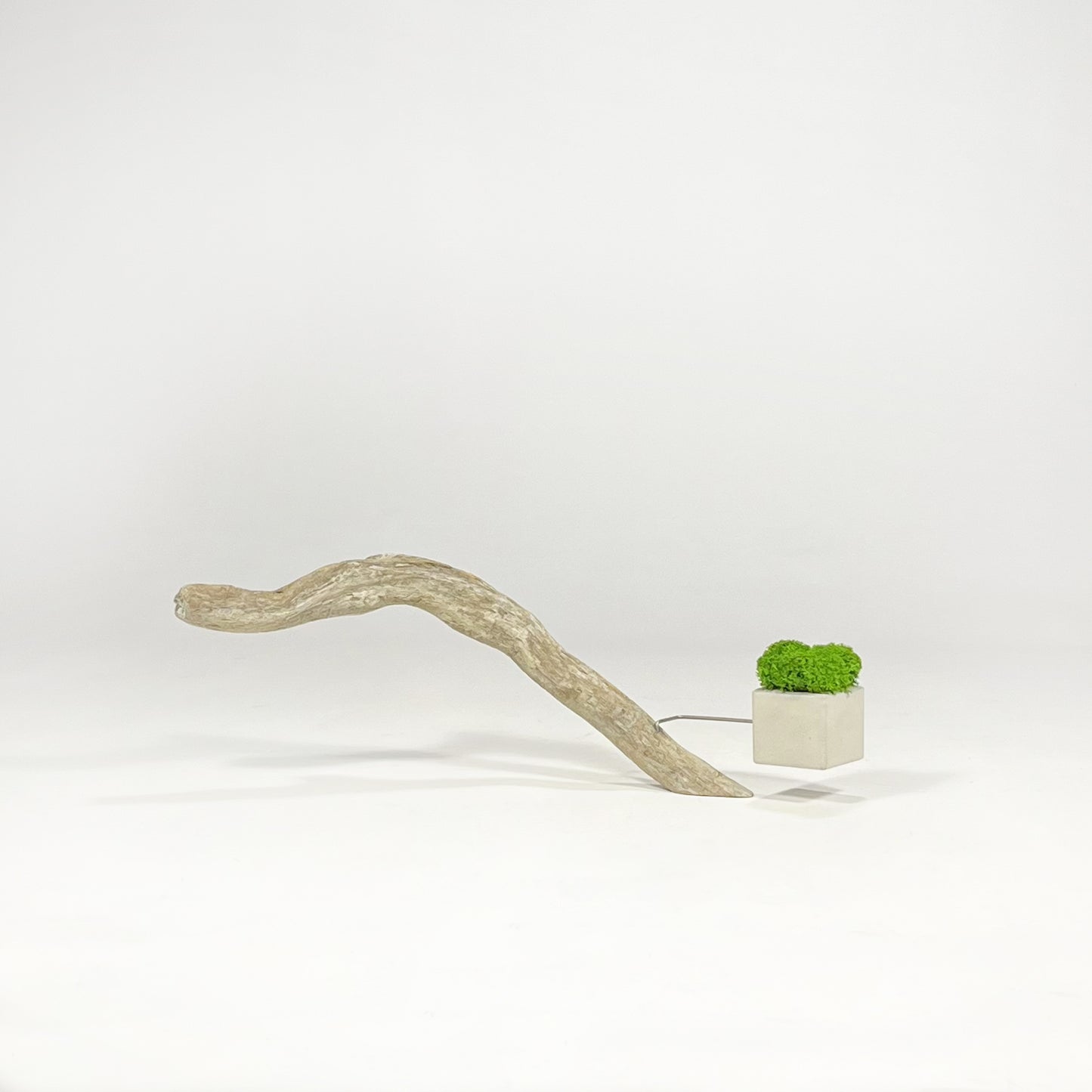 Disequilibrio in Equilibrio
