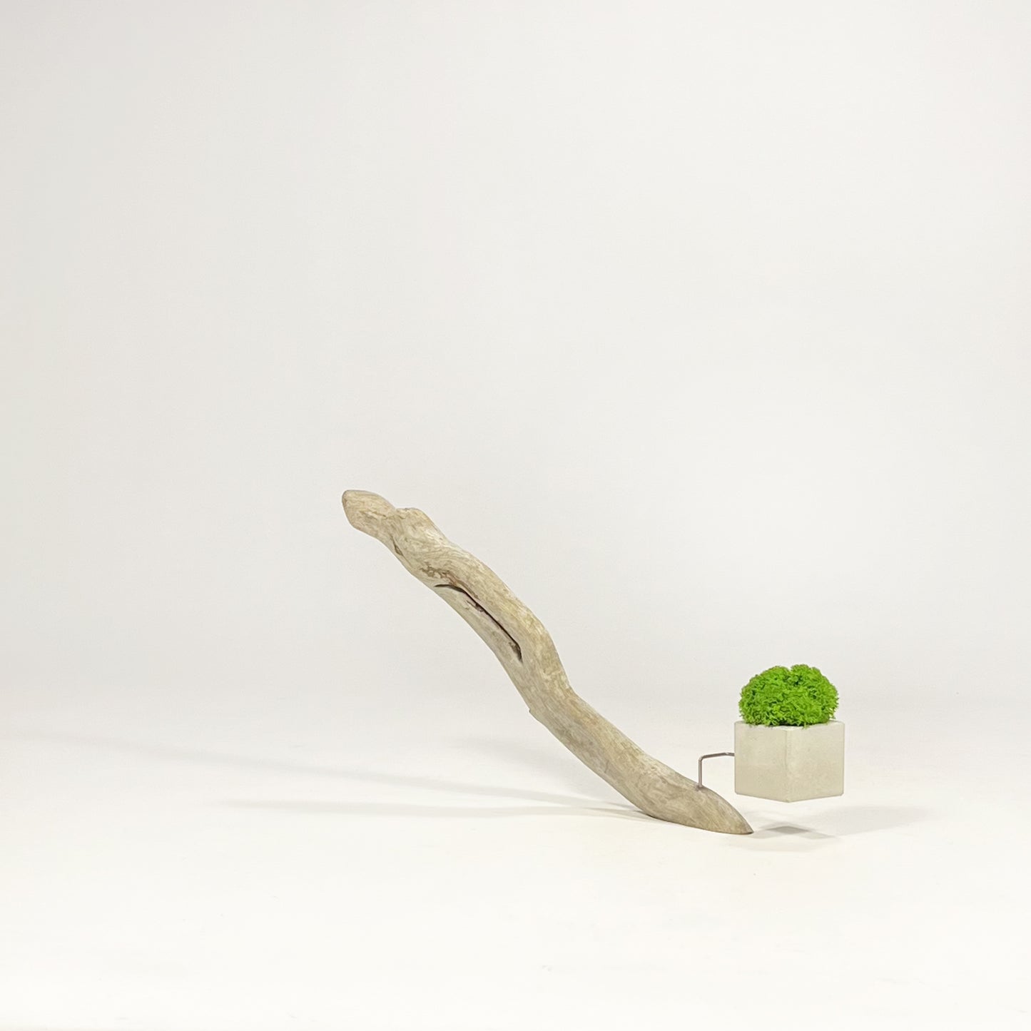 Disequilibrio in Equilibrio