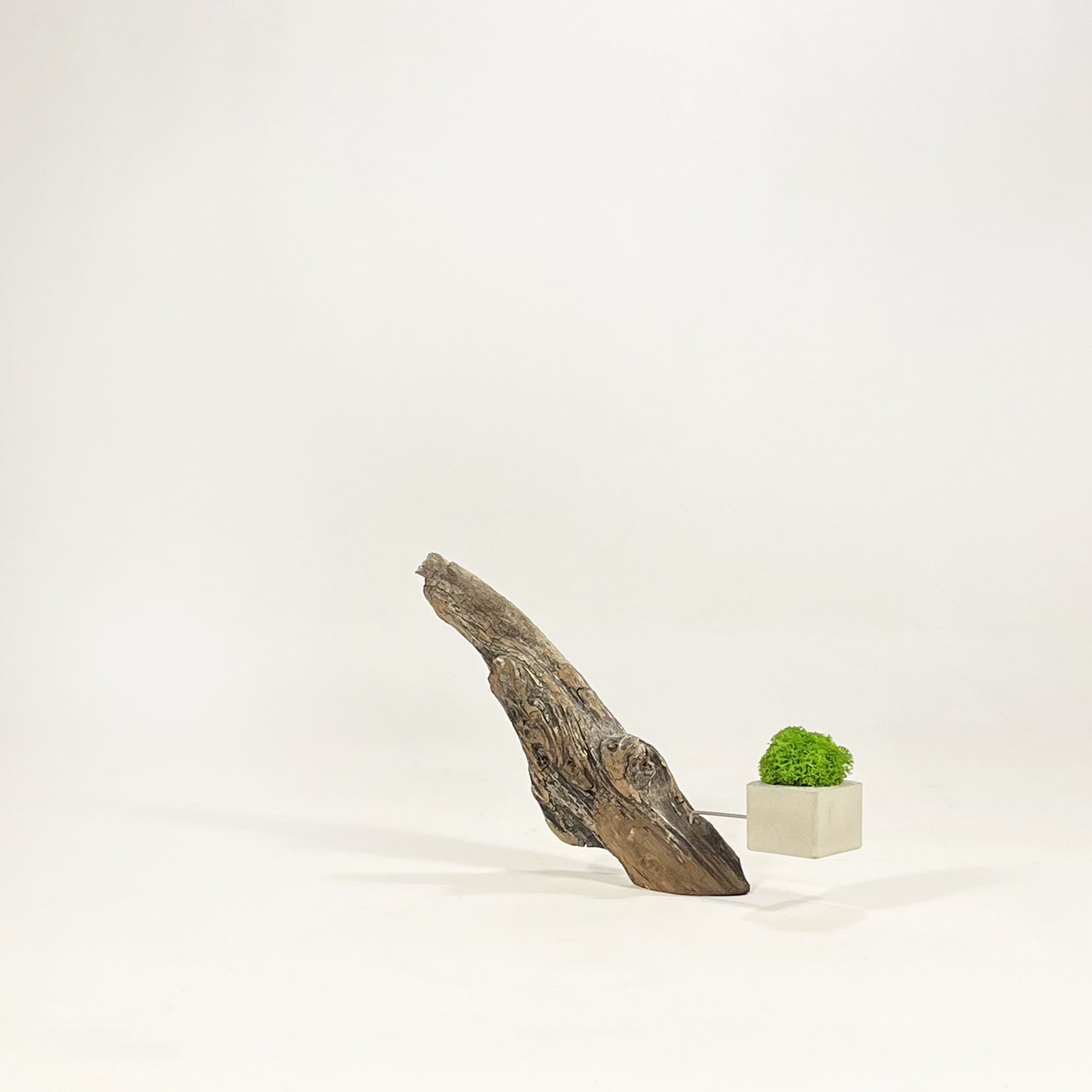 Disequilibrio in Equilibrio