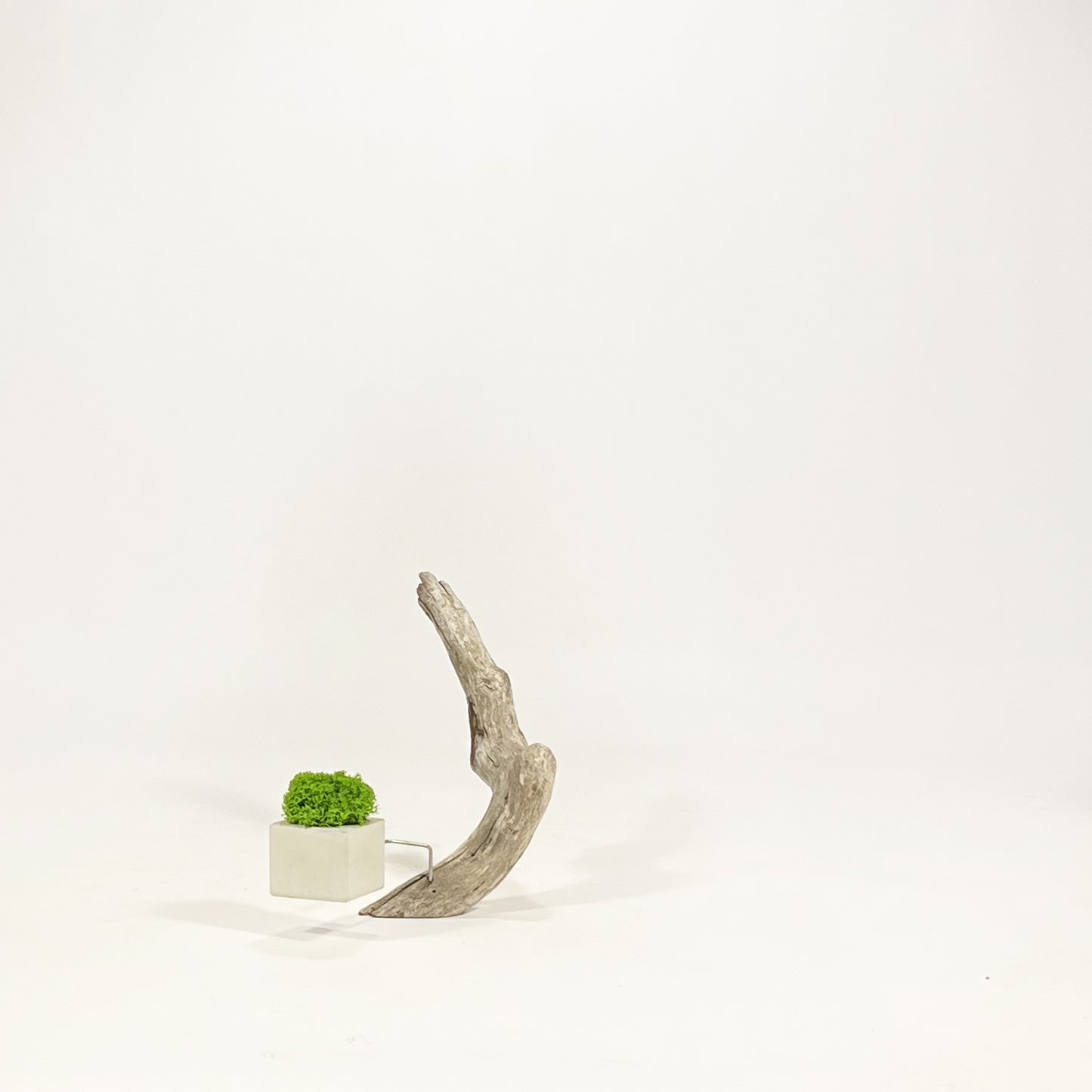 Disequilibrio in Equilibrio