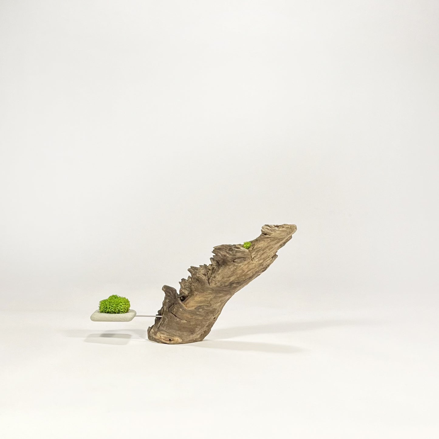 Disequilibrio in Equilibrio