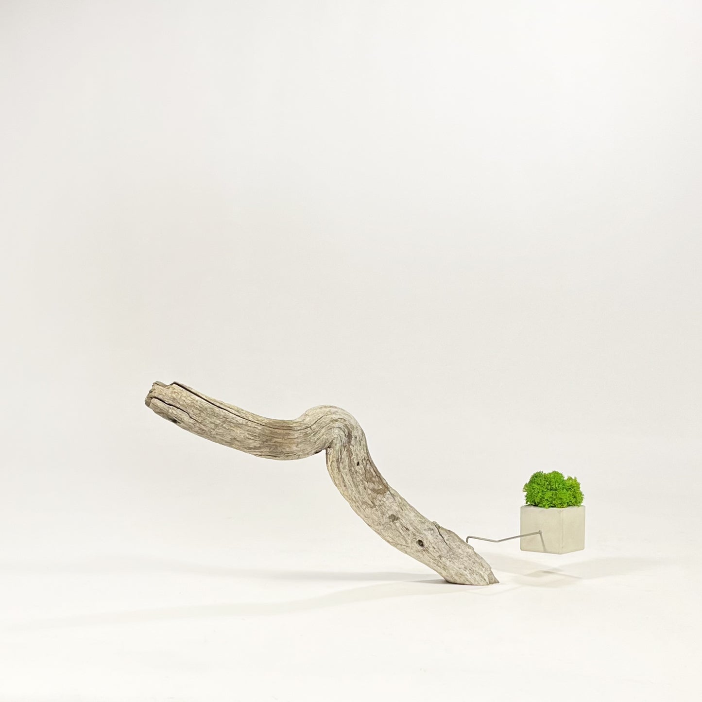 Disequilibrio in Equilibrio