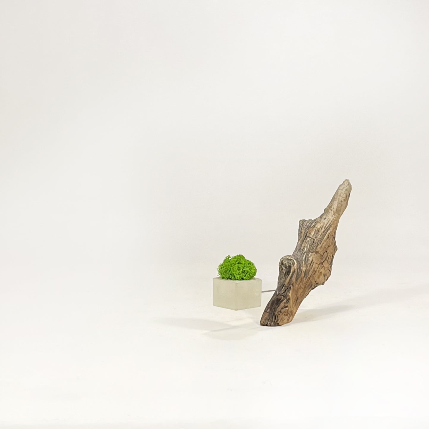 Disequilibrio in Equilibrio