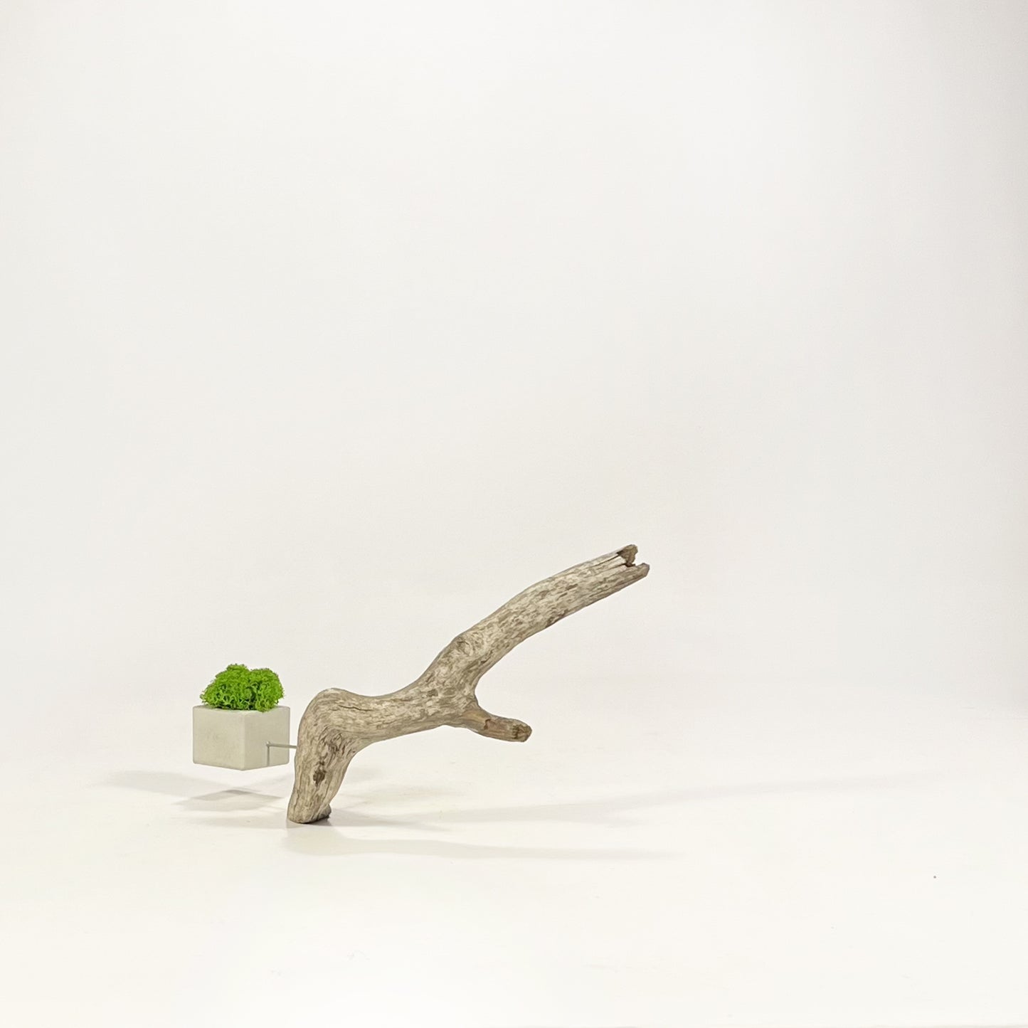 Disequilibrio in Equilibrio