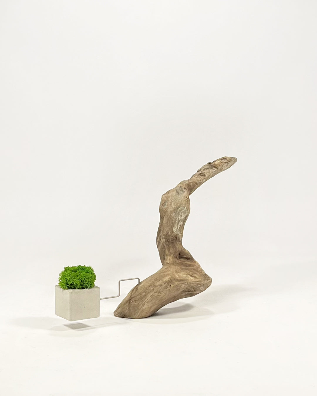 Disequilibrio in Equilibrio