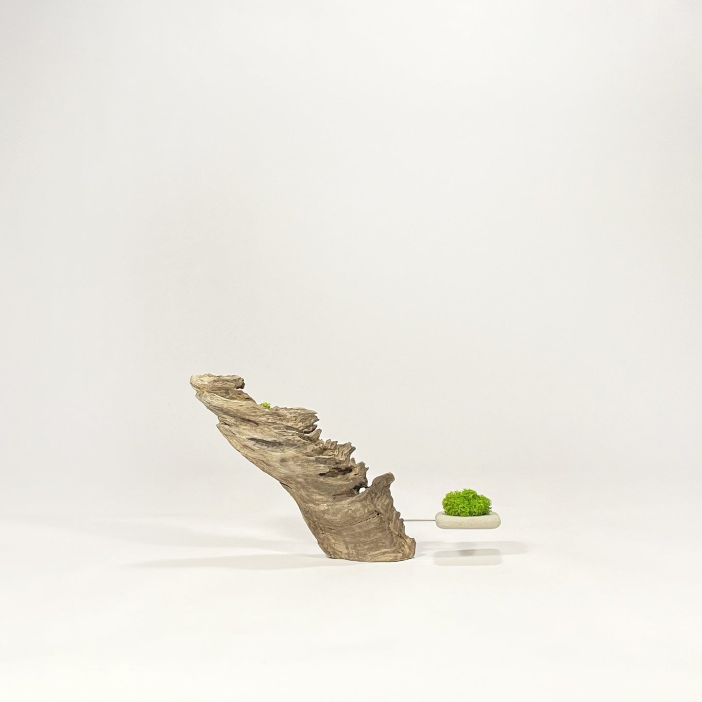 Disequilibrio in Equilibrio