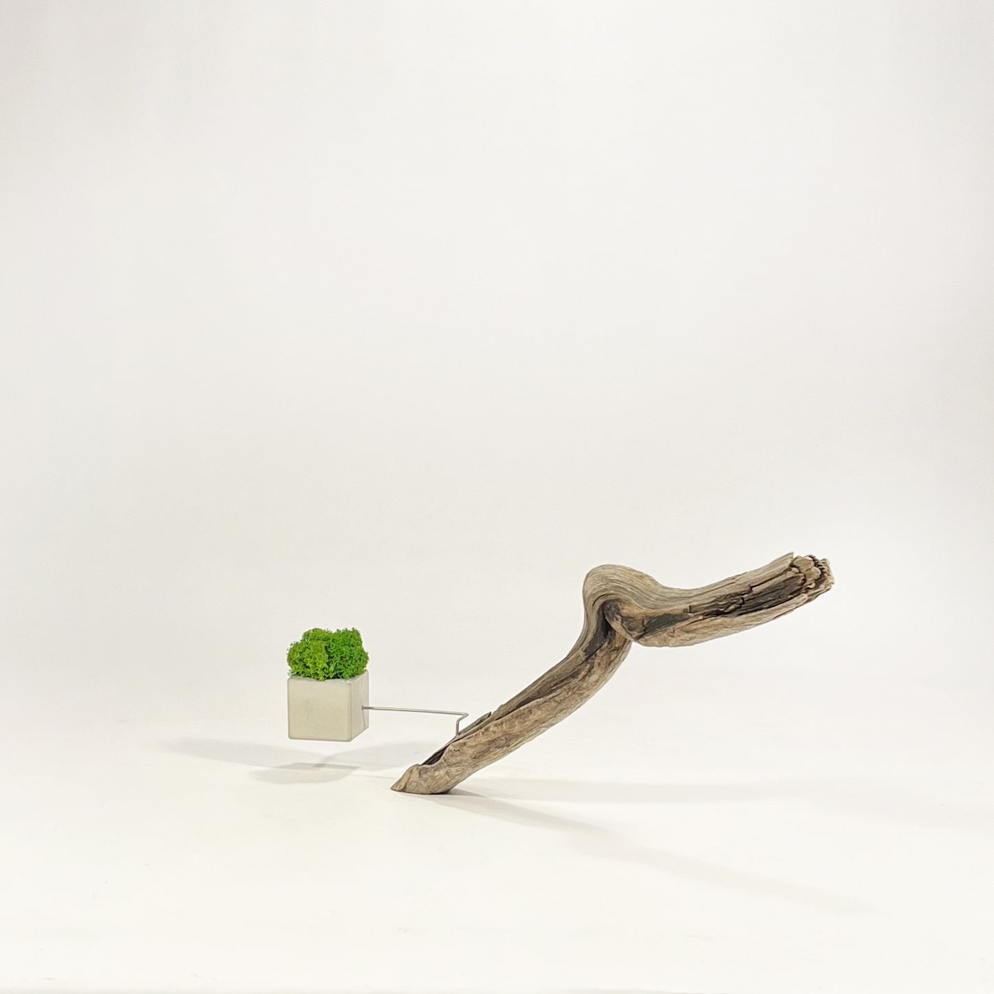 Disequilibrio in Equilibrio