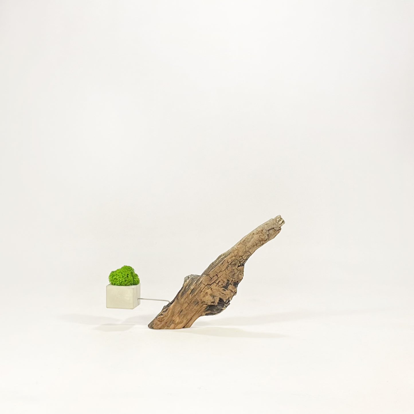 Disequilibrio in Equilibrio