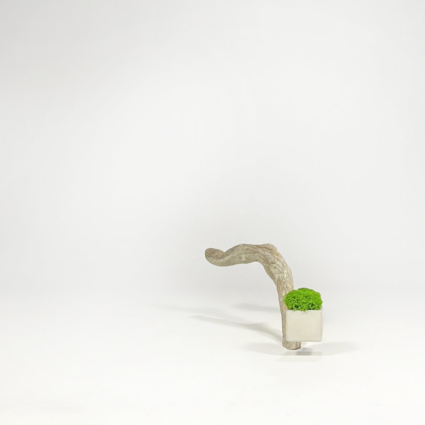 Disequilibrio in Equilibrio