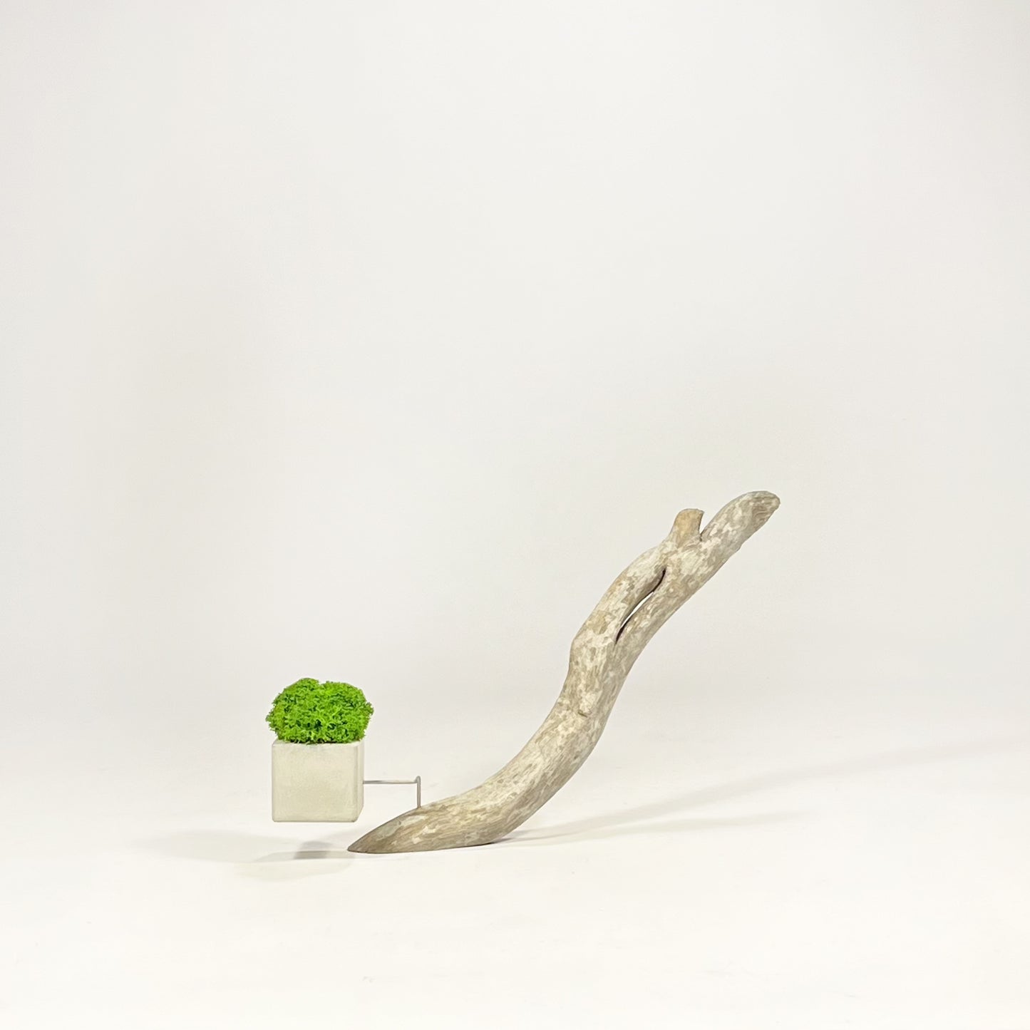 Disequilibrio in Equilibrio