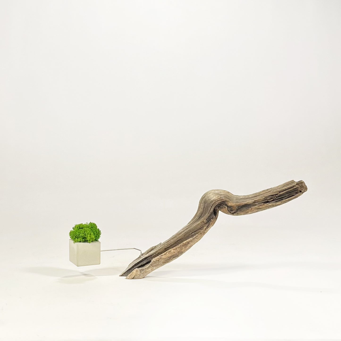 Disequilibrio in Equilibrio