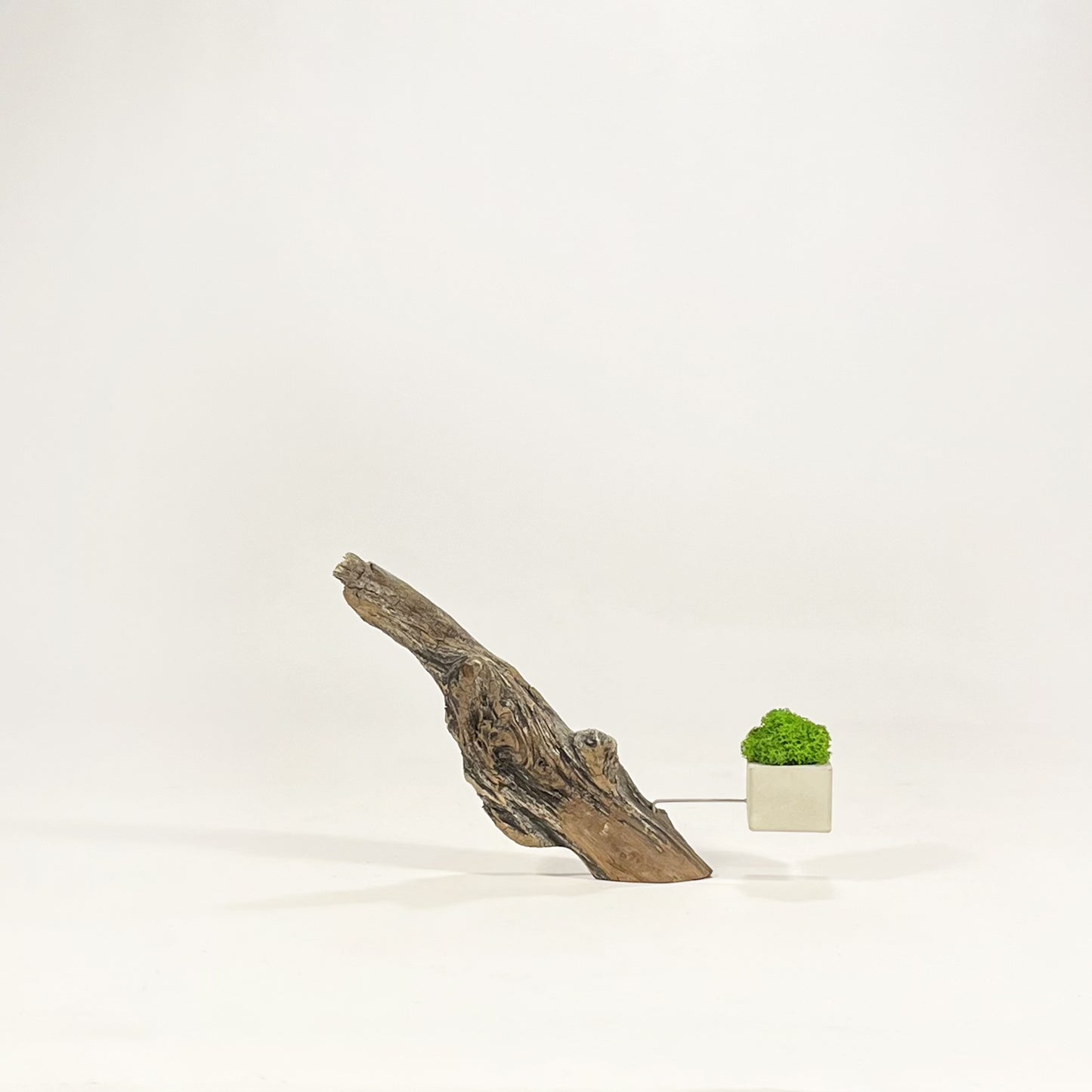 Disequilibrio in Equilibrio