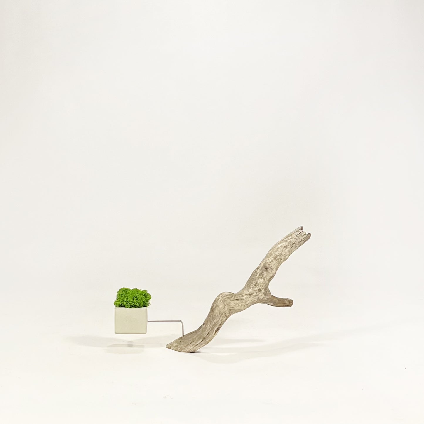 Disequilibrio in Equilibrio