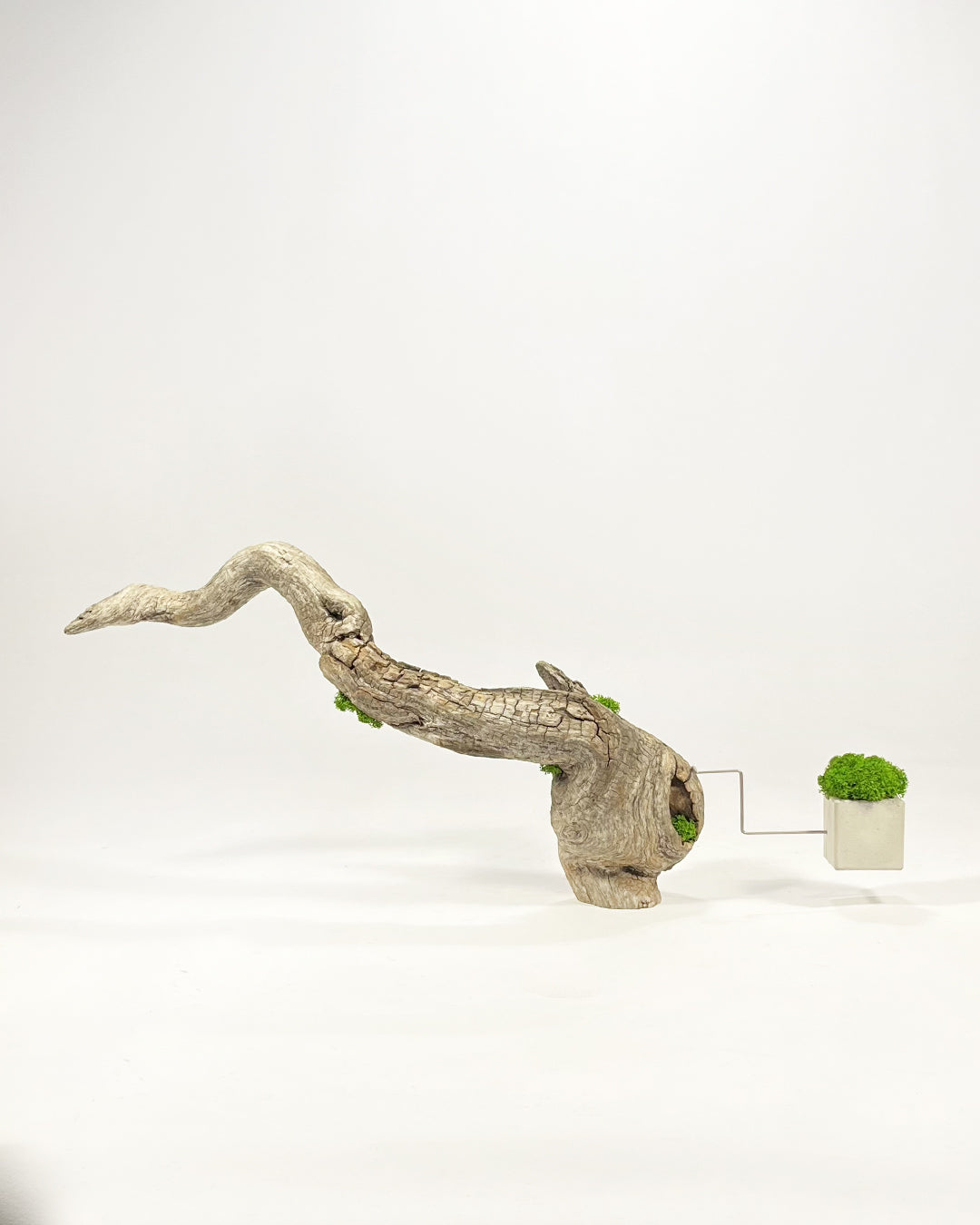 Disequilibrium in Equilibrium