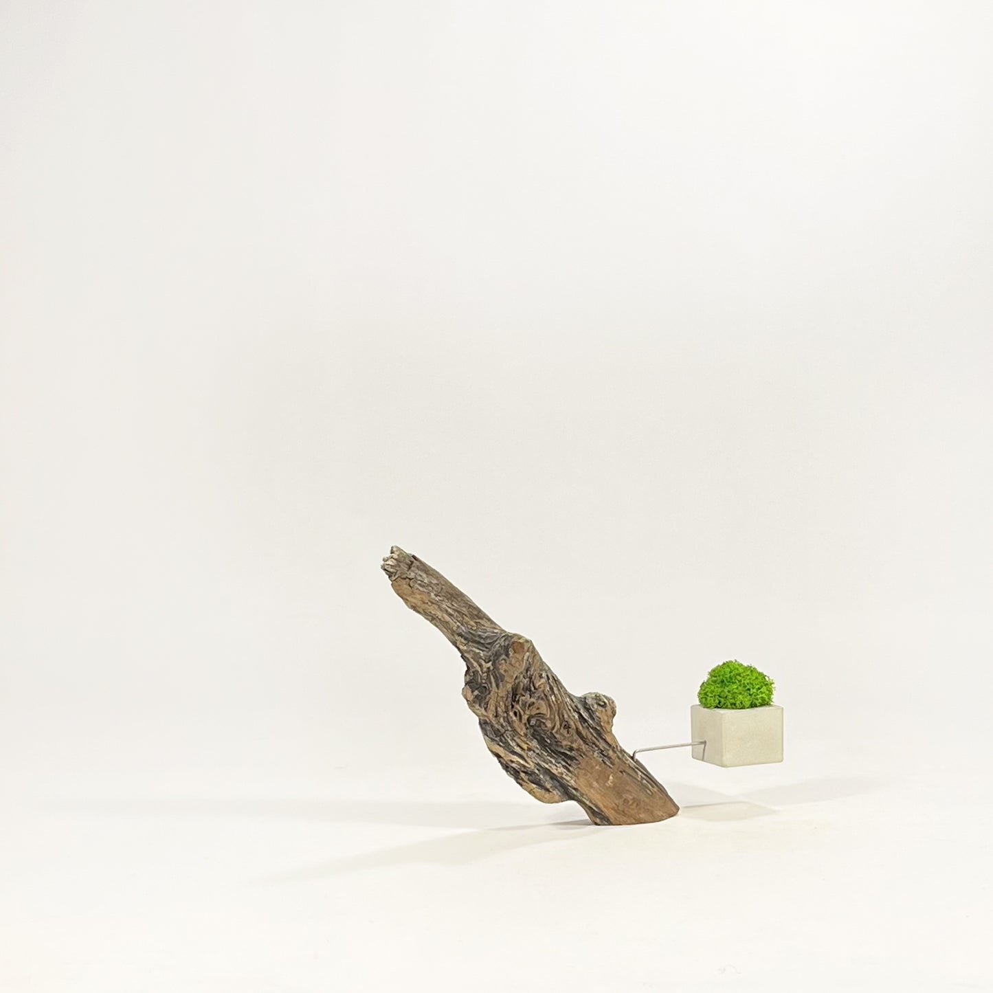 Disequilibrio in Equilibrio
