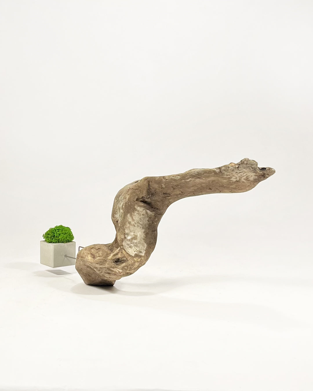 Disequilibrio in Equilibrio
