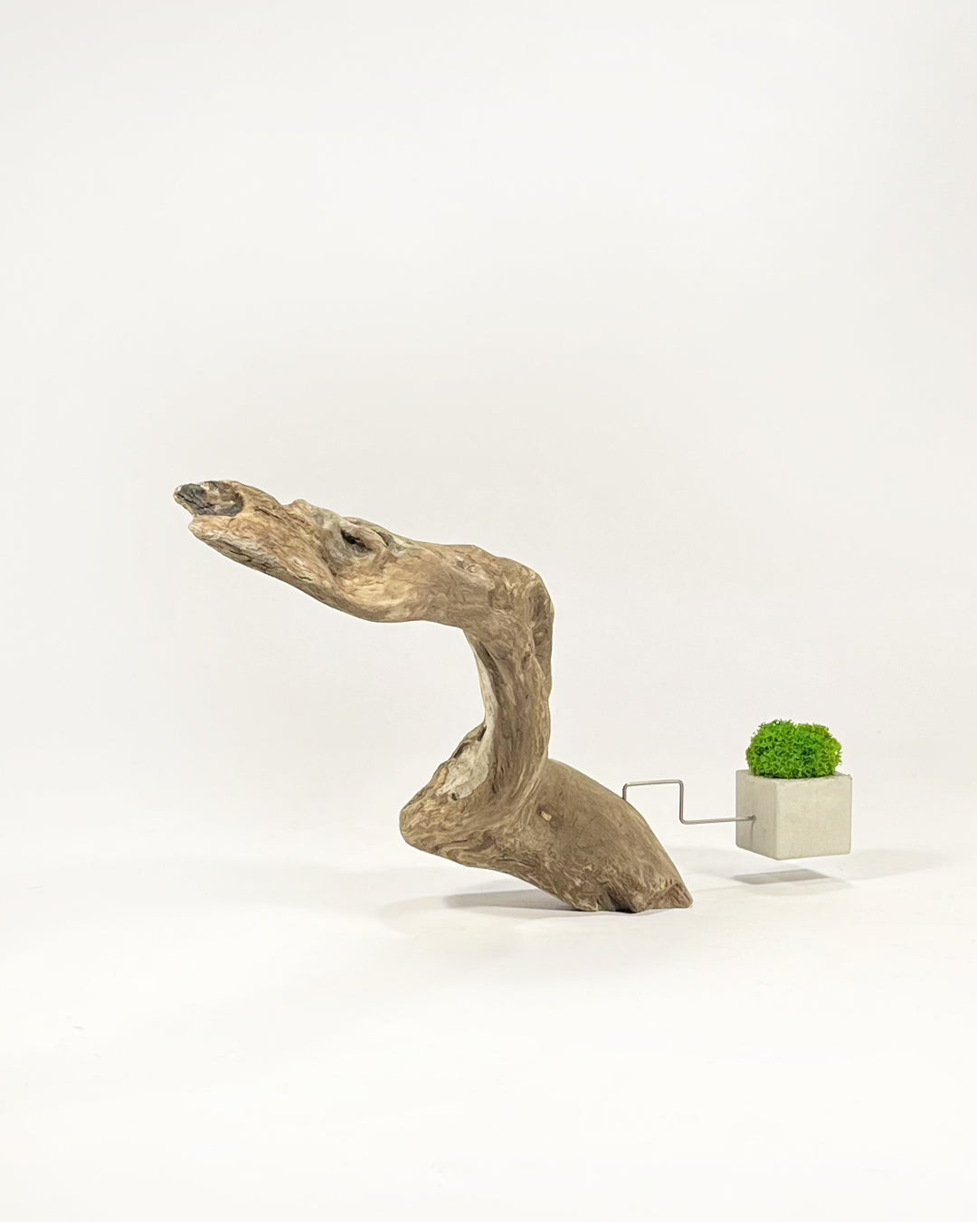 Disequilibrio in Equilibrio