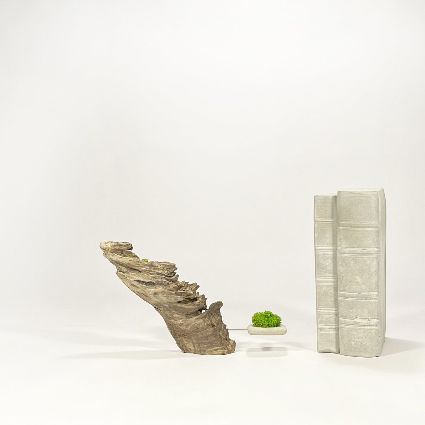 Disequilibrio in Equilibrio