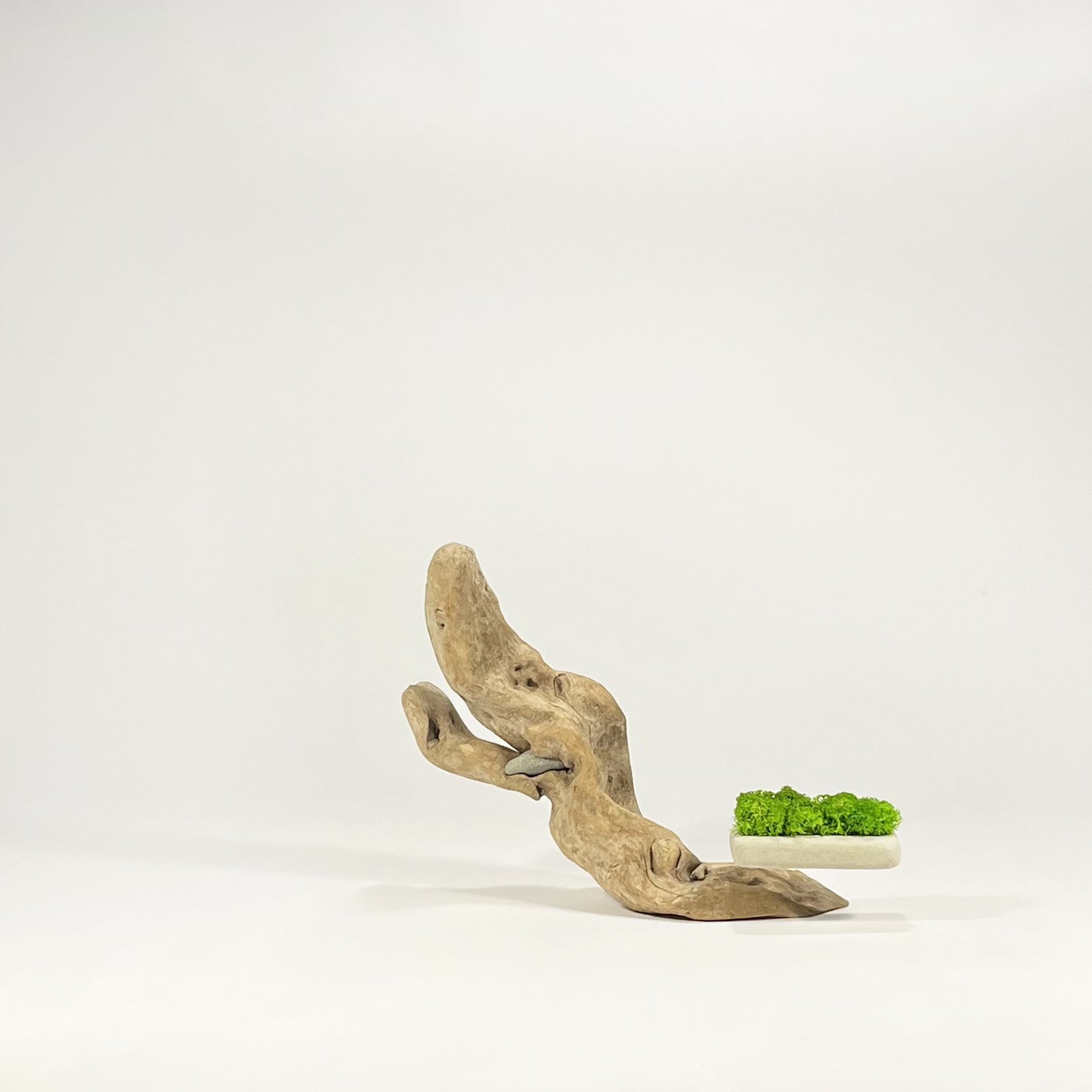 Disequilibrio in Equilibrio