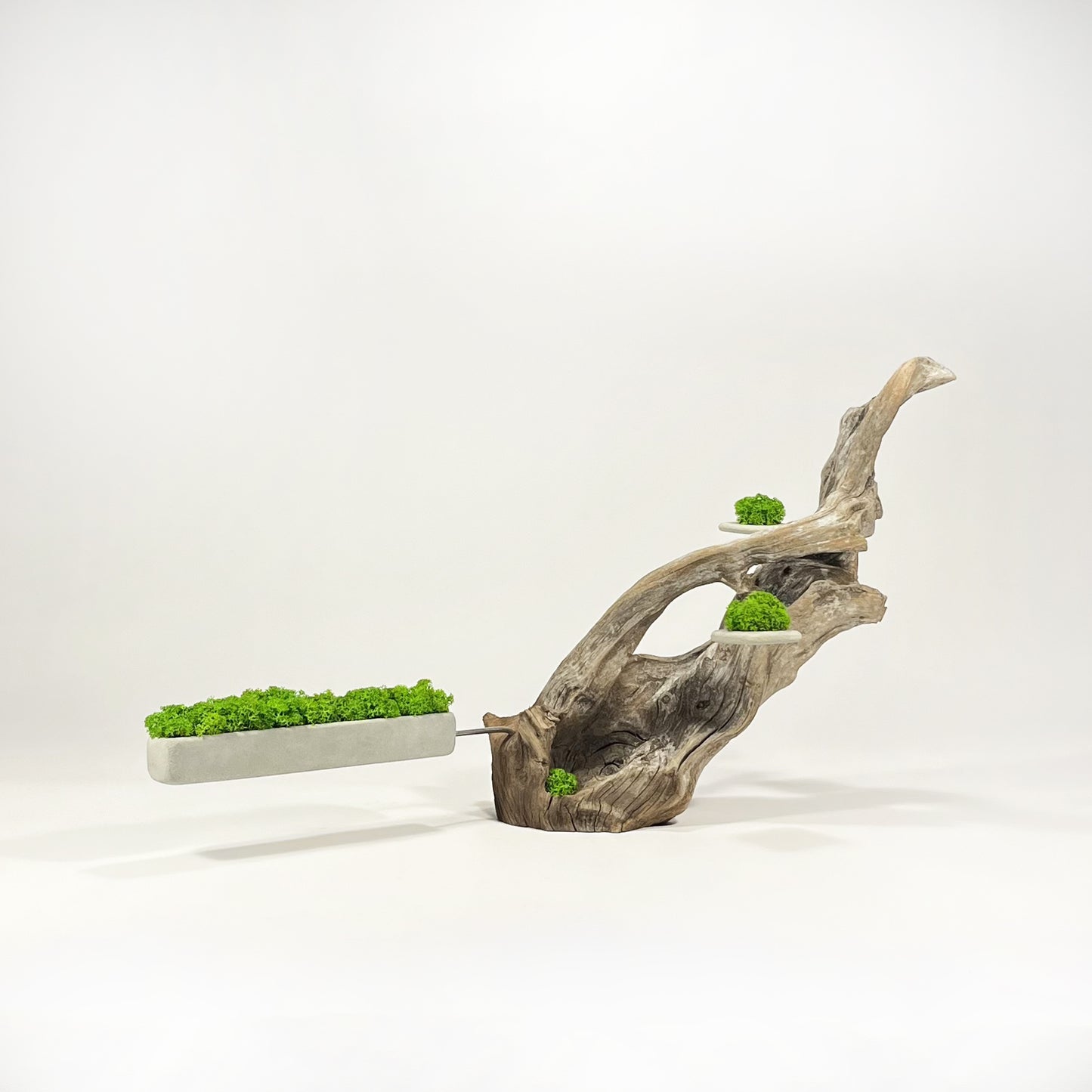 Disequilibrio in Equilibrio