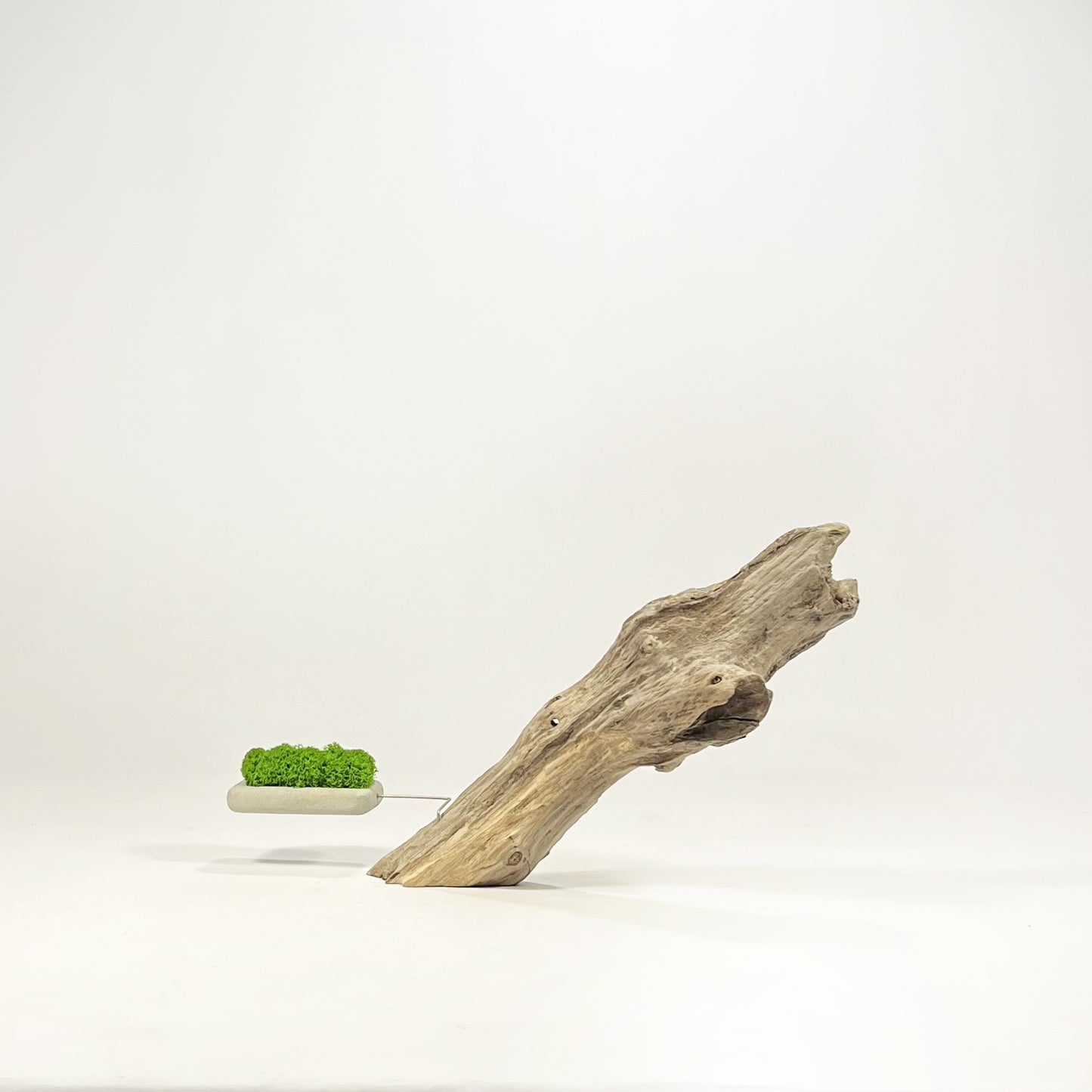 Disequilibrio in Equilibrio