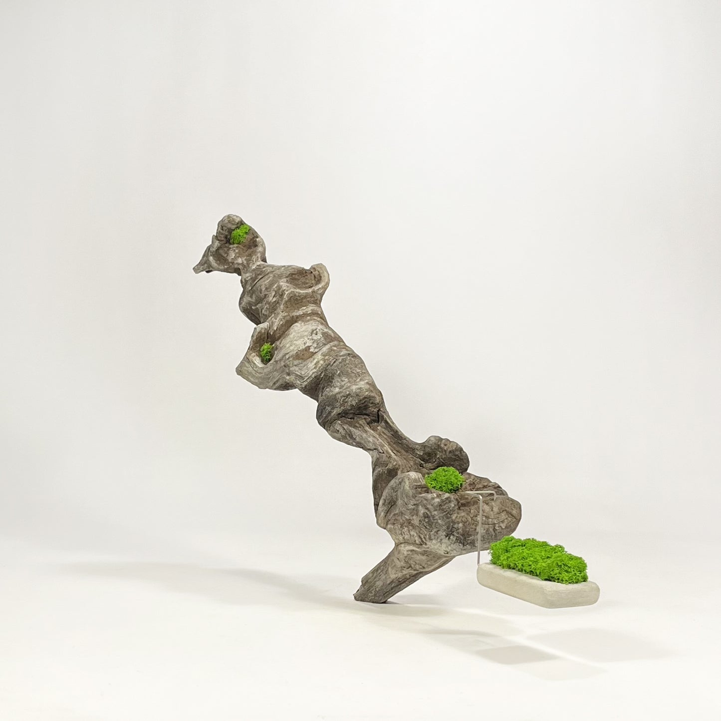 Disequilibrio in Equilibrio