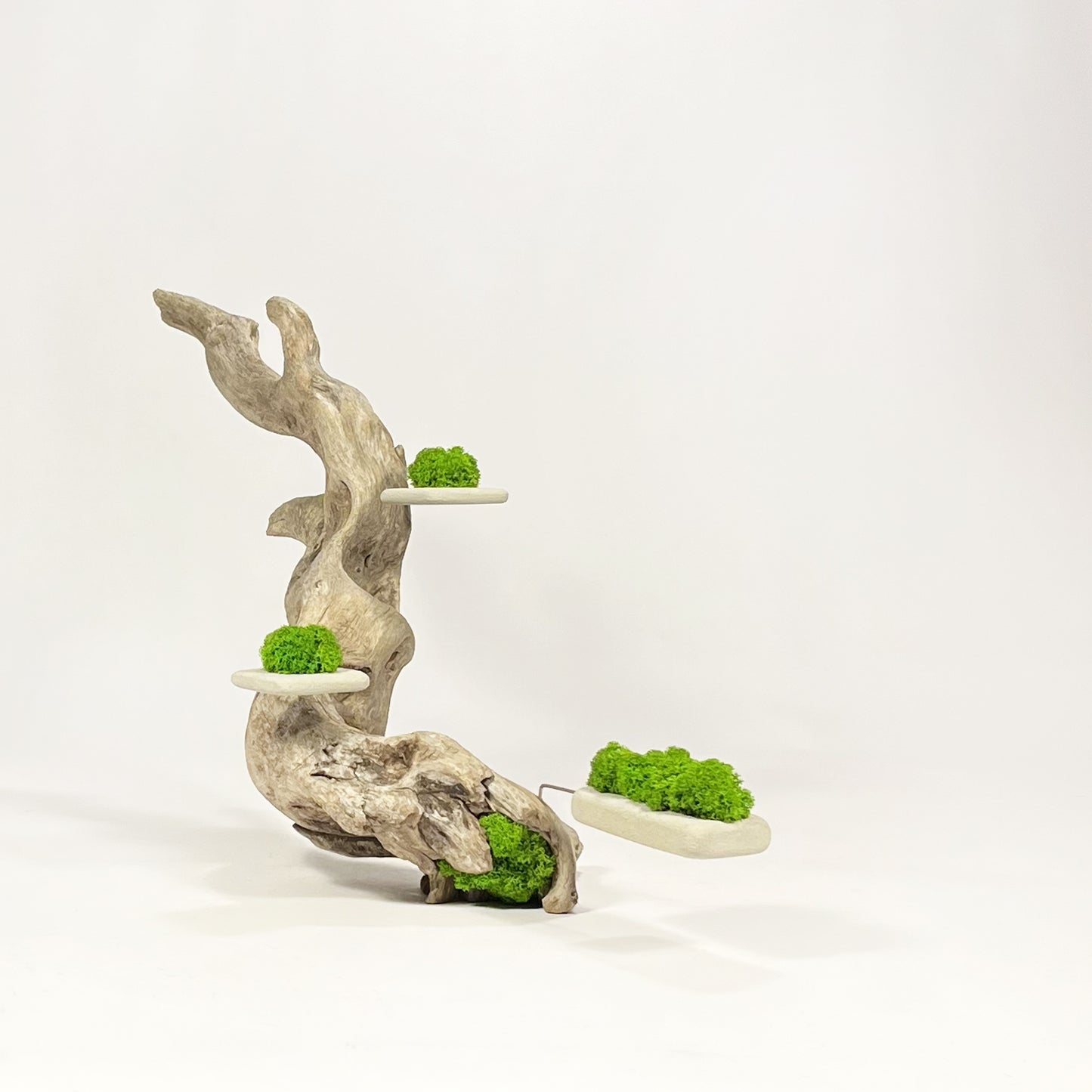 Disequilibrio in Equilibrio