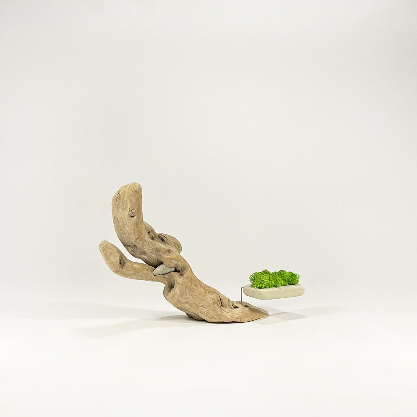 Disequilibrio in Equilibrio