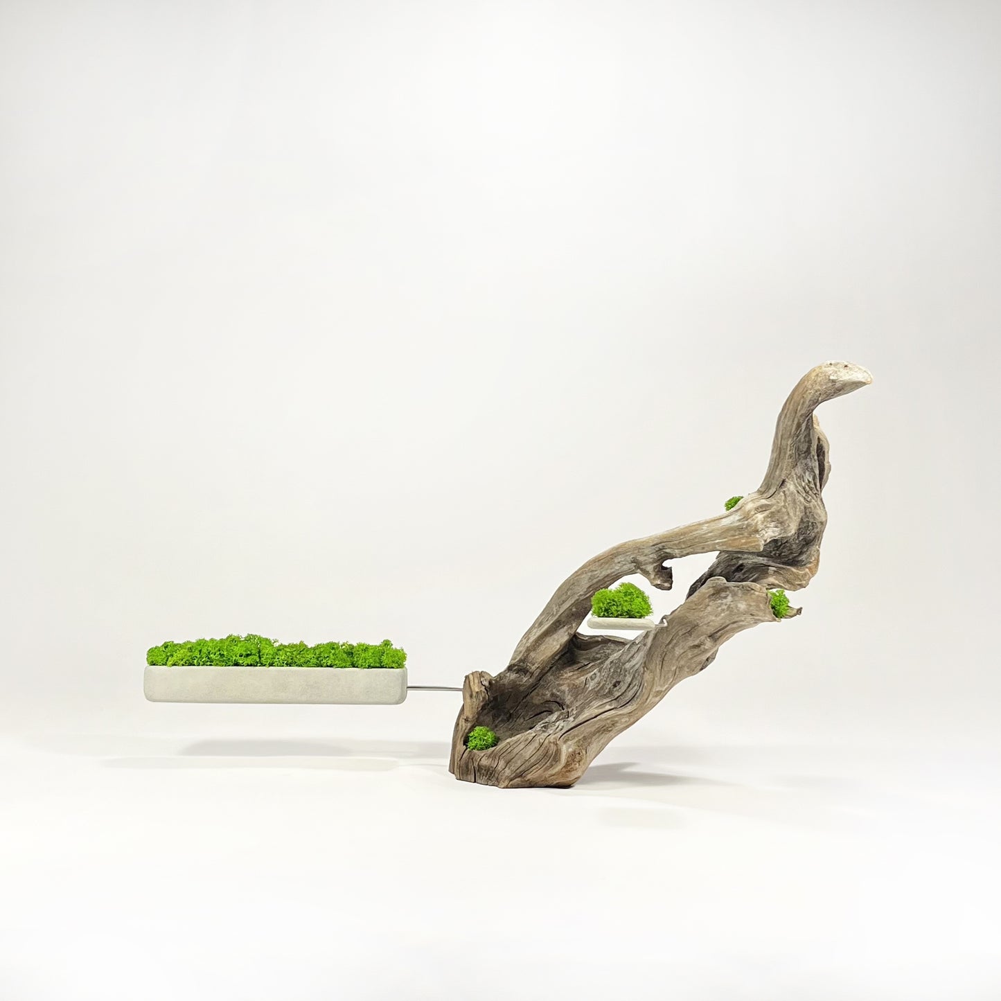 Disequilibrio in Equilibrio