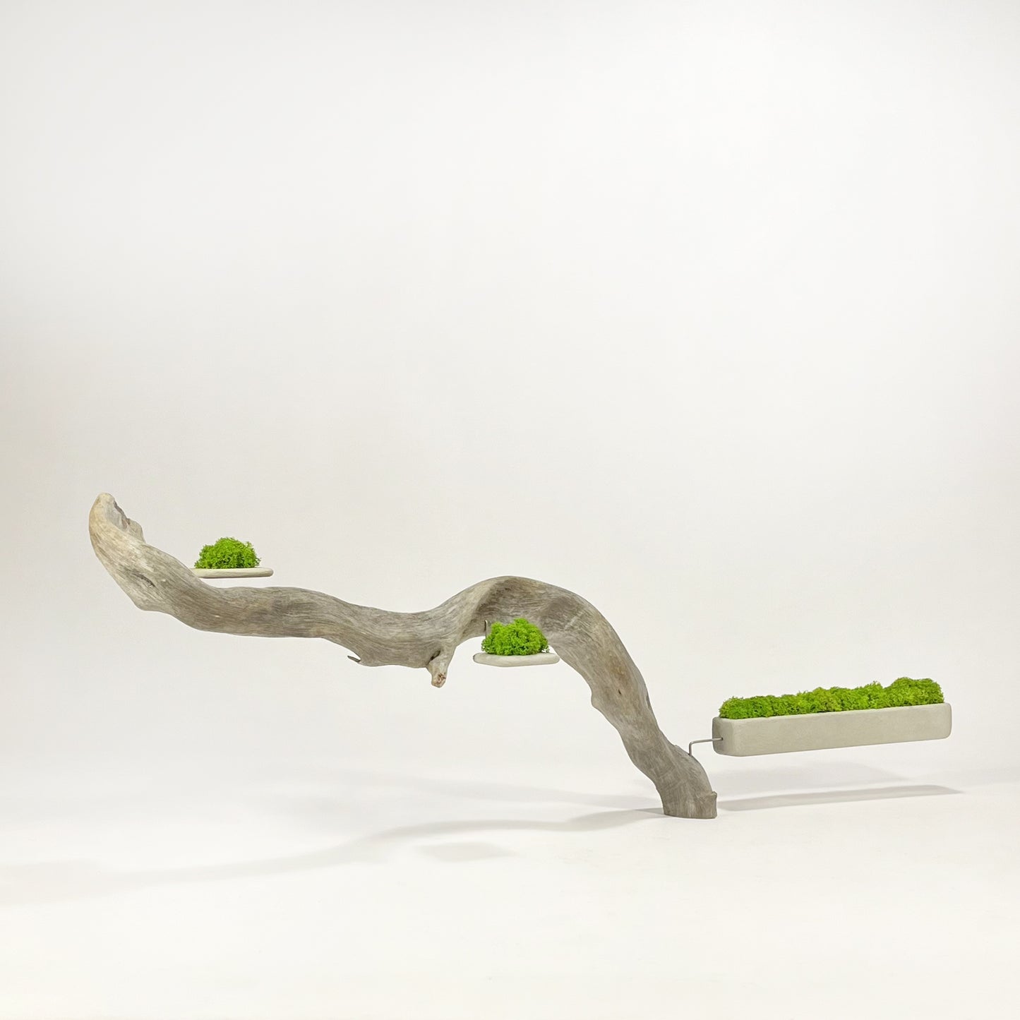 Disequilibrio in Equilibrio