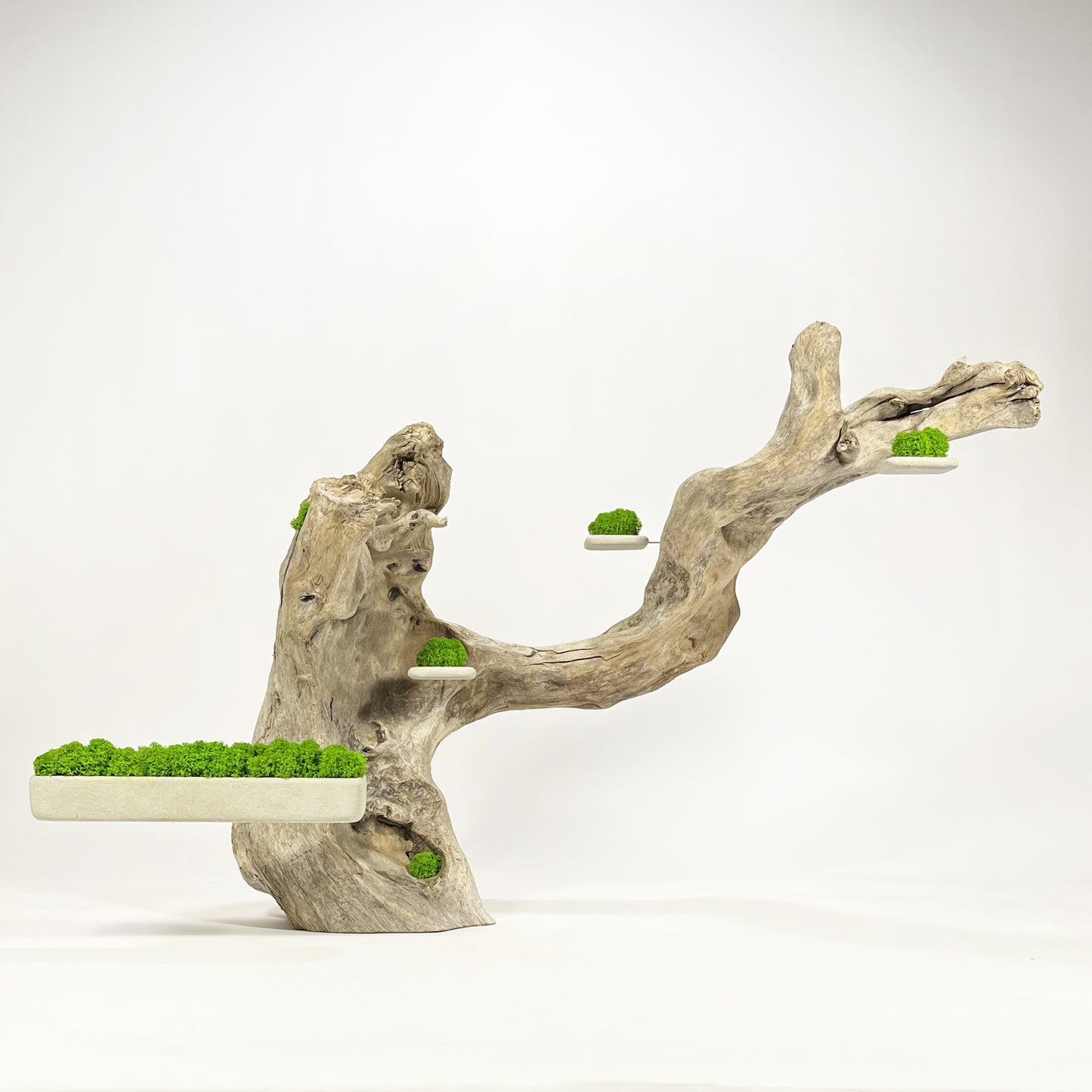 Disequilibrium in Equilibrium