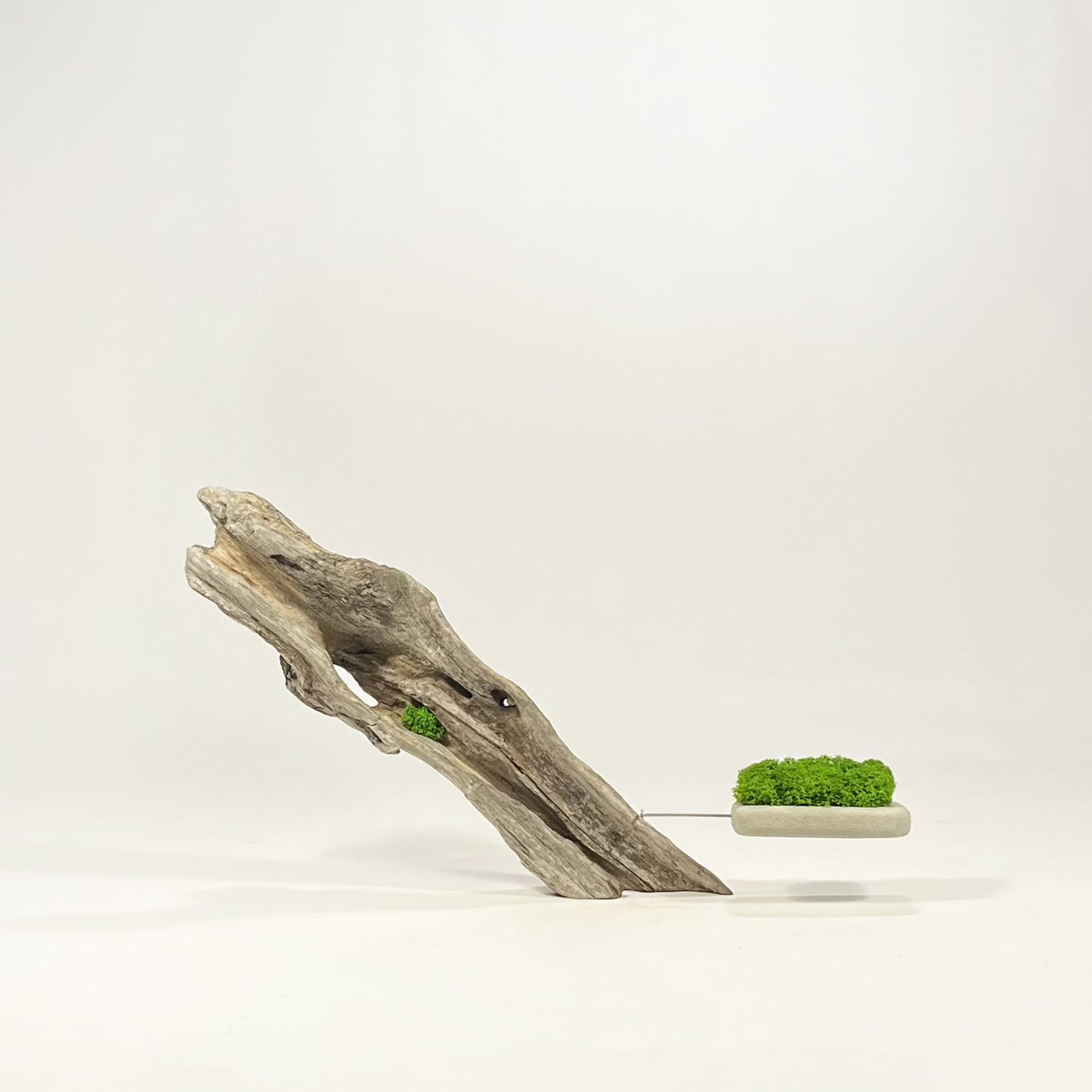 Disequilibrio in Equilibrio