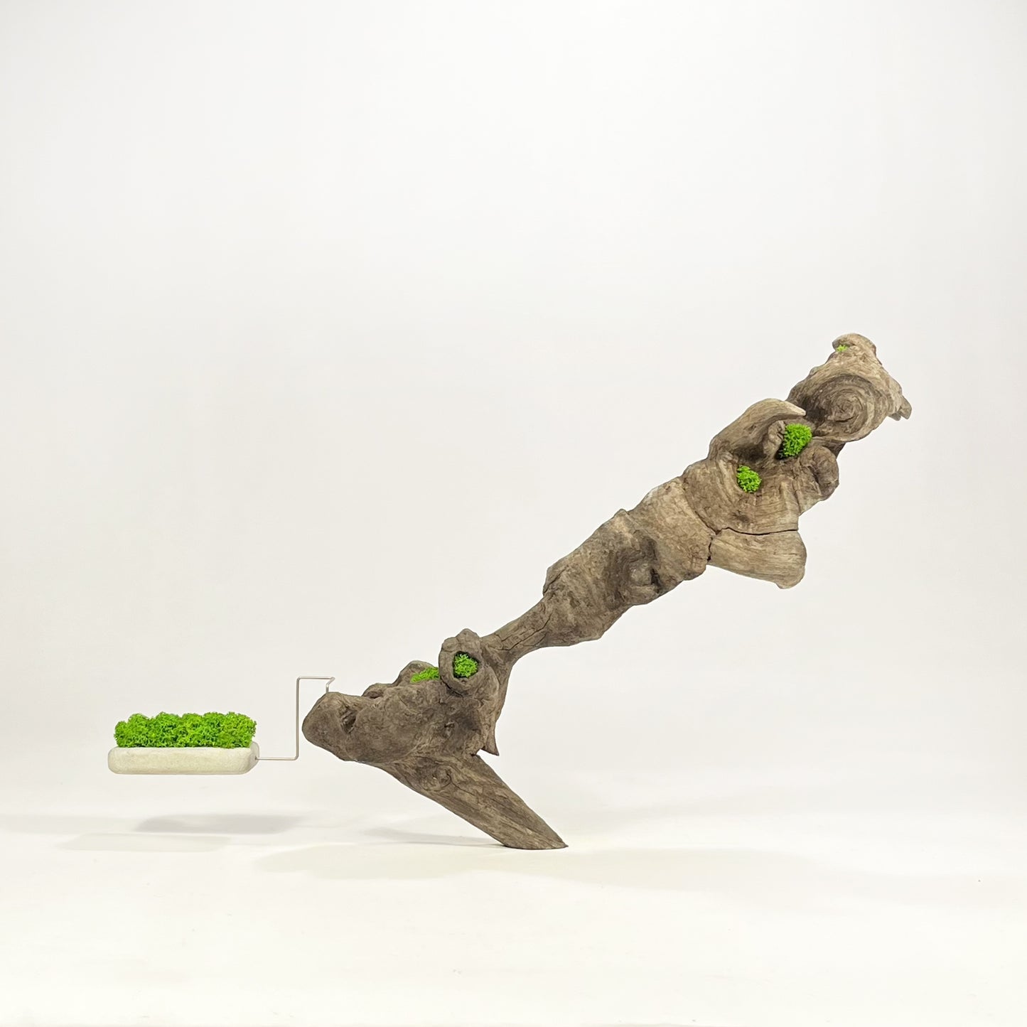Disequilibrio in Equilibrio