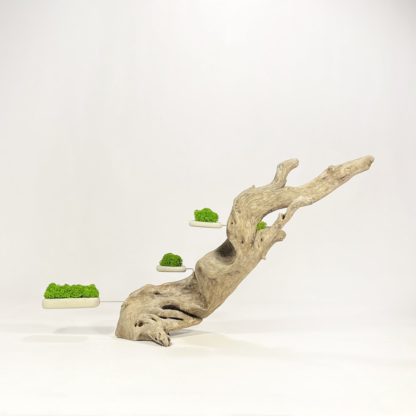 Disequilibrio in Equilibrio