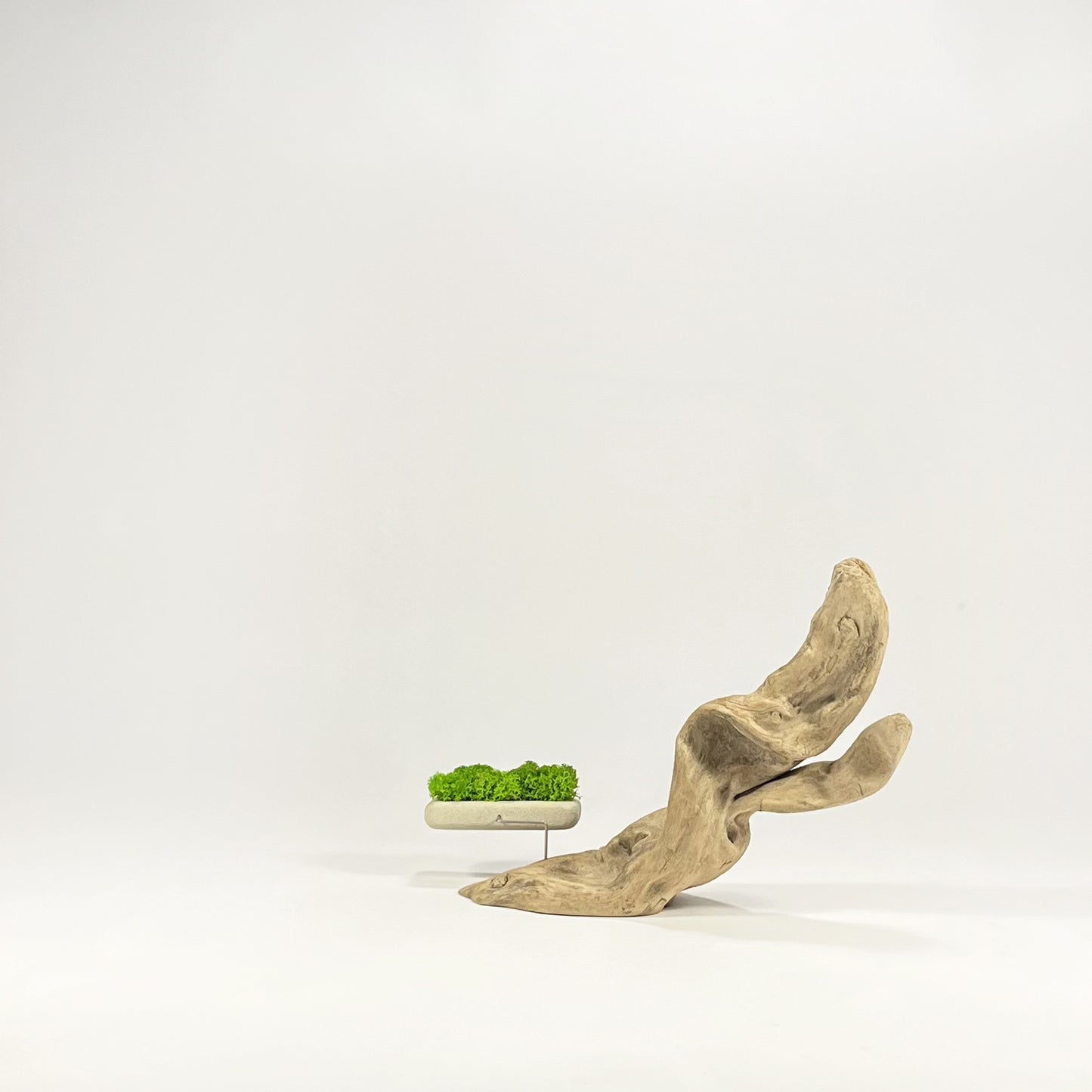 Disequilibrio in Equilibrio