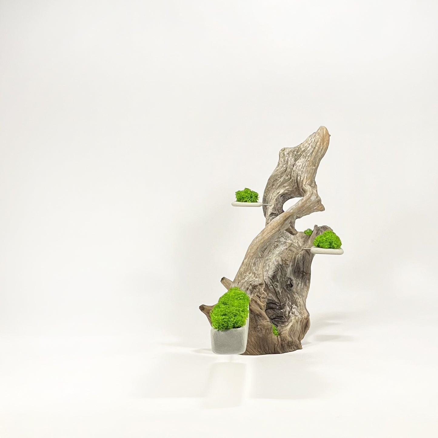 Disequilibrio in Equilibrio