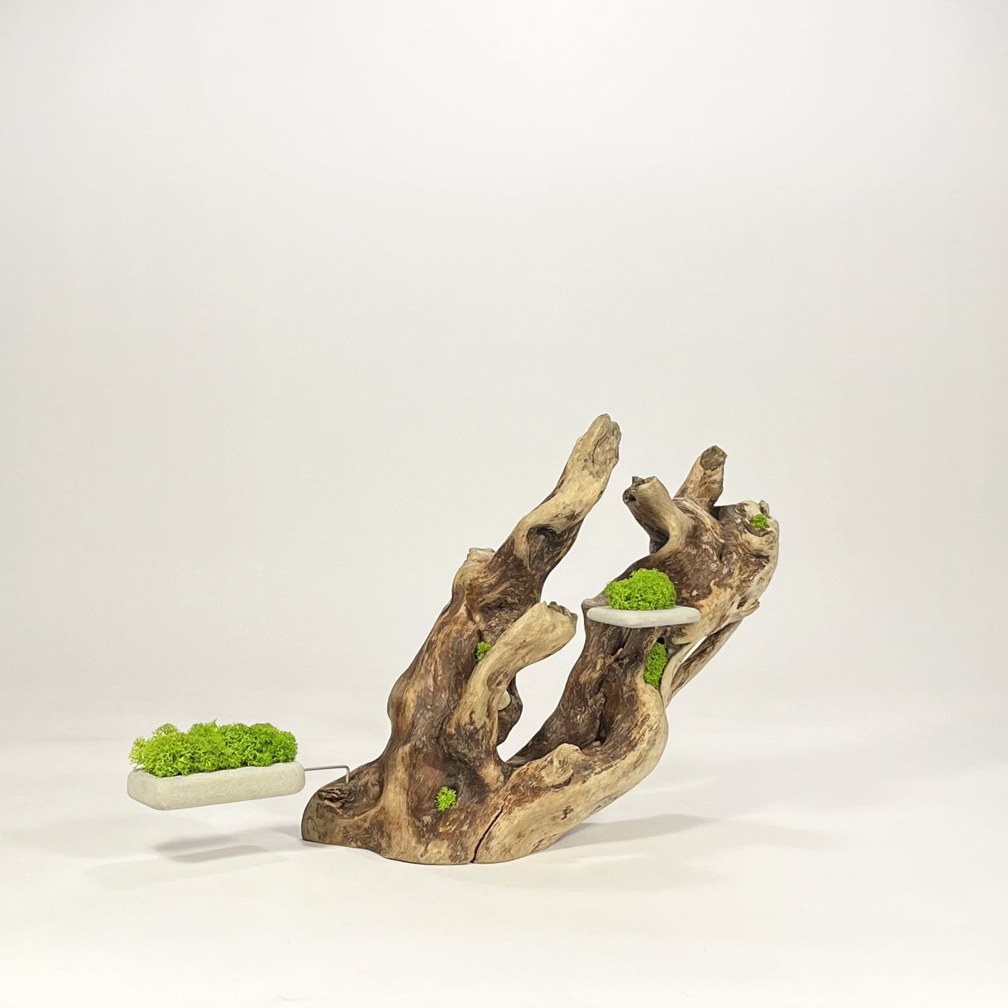 Disequilibrium in Equilibrium