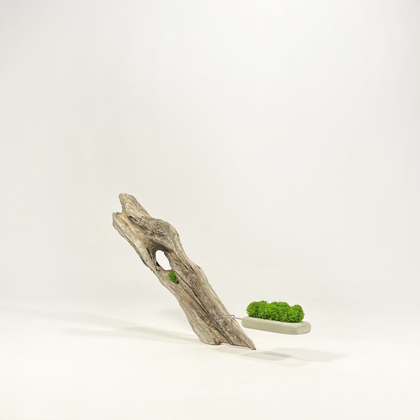 Disequilibrio in Equilibrio