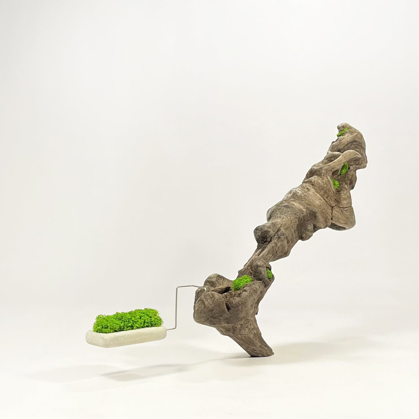 Disequilibrio in Equilibrio