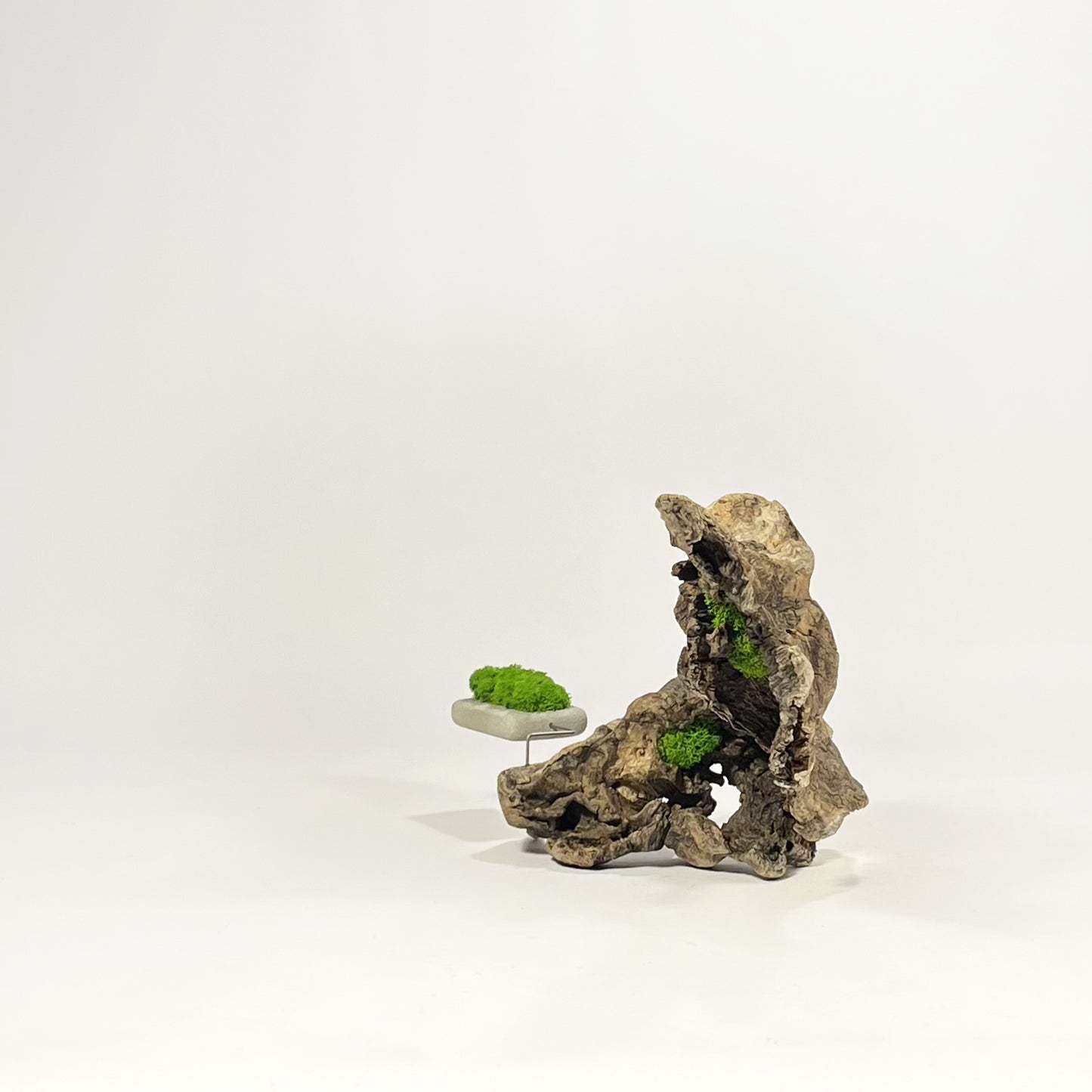 Disequilibrio in Equilibrio