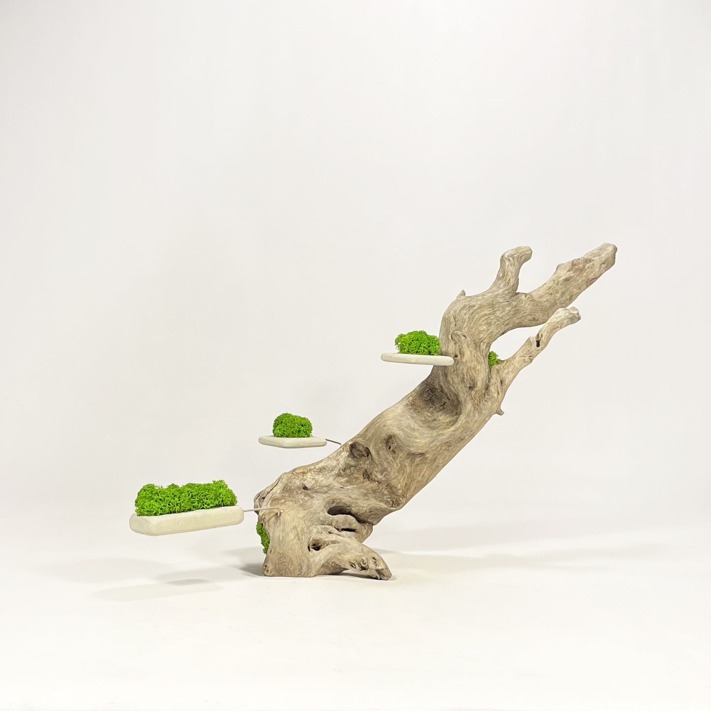 Disequilibrio in Equilibrio