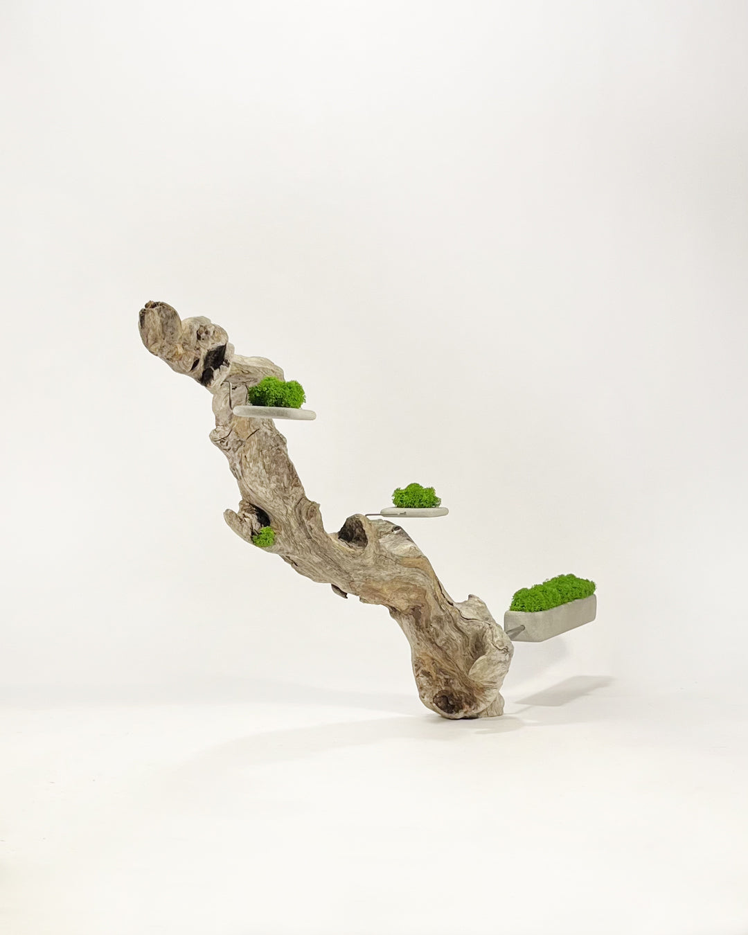 Disequilibrium in Equilibrium