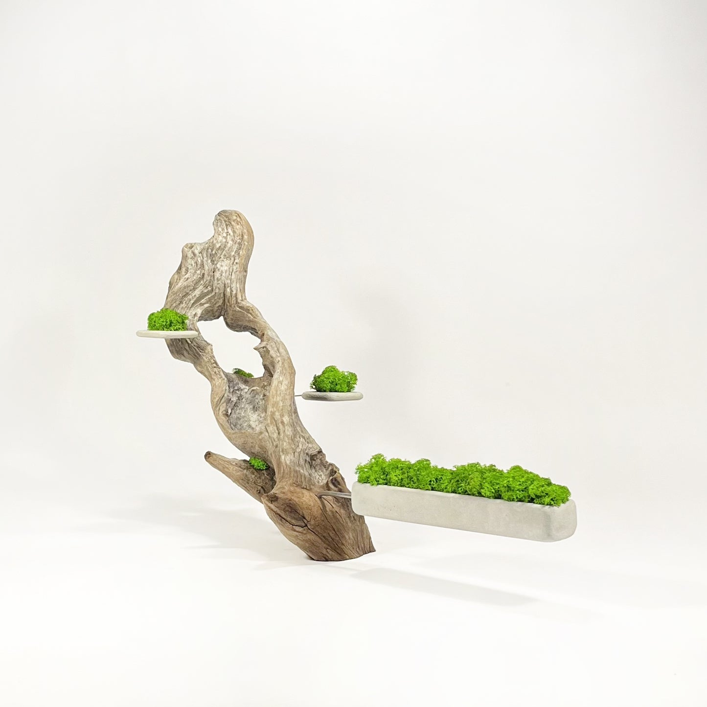 Disequilibrio in Equilibrio