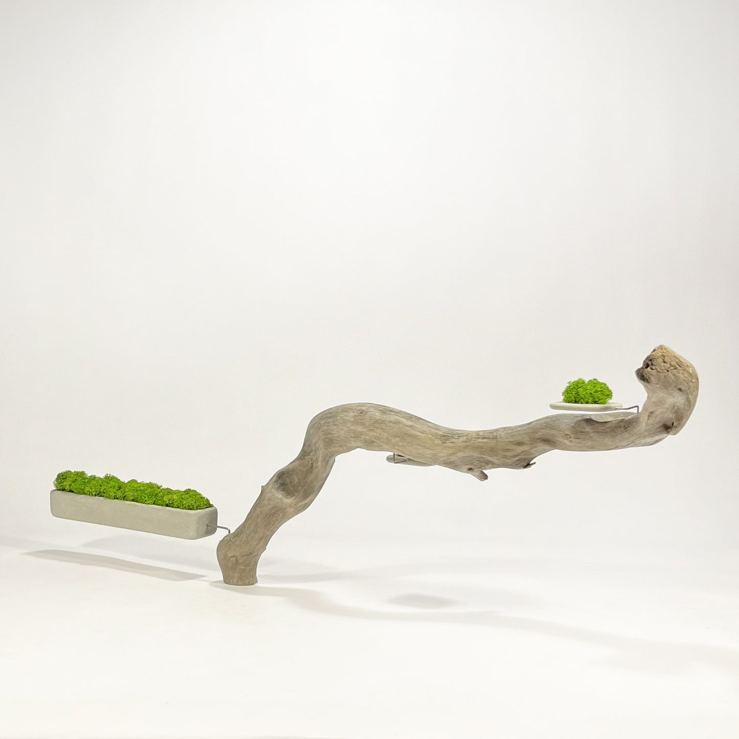 Disequilibrio in Equilibrio